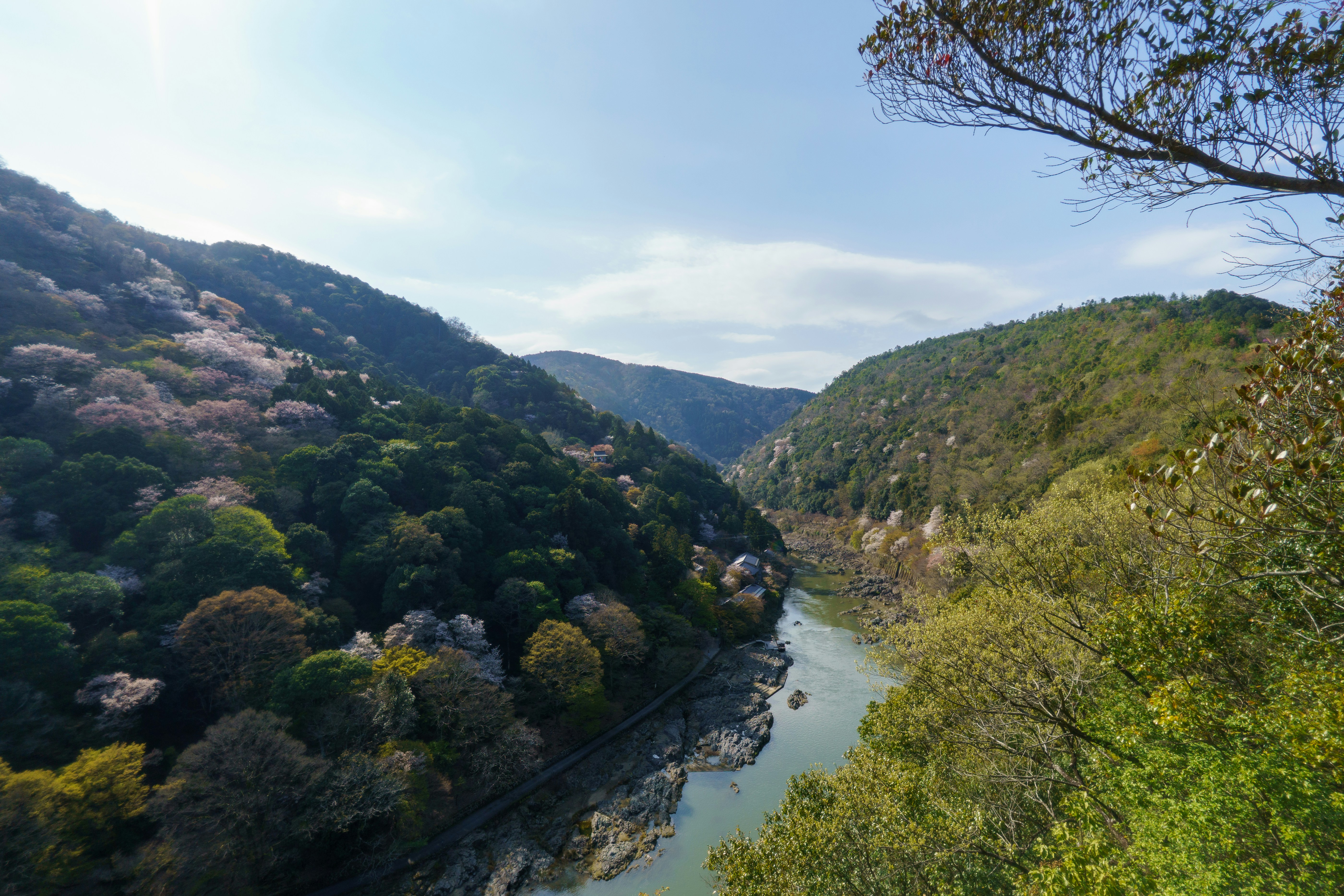 Photo by srtgraphy