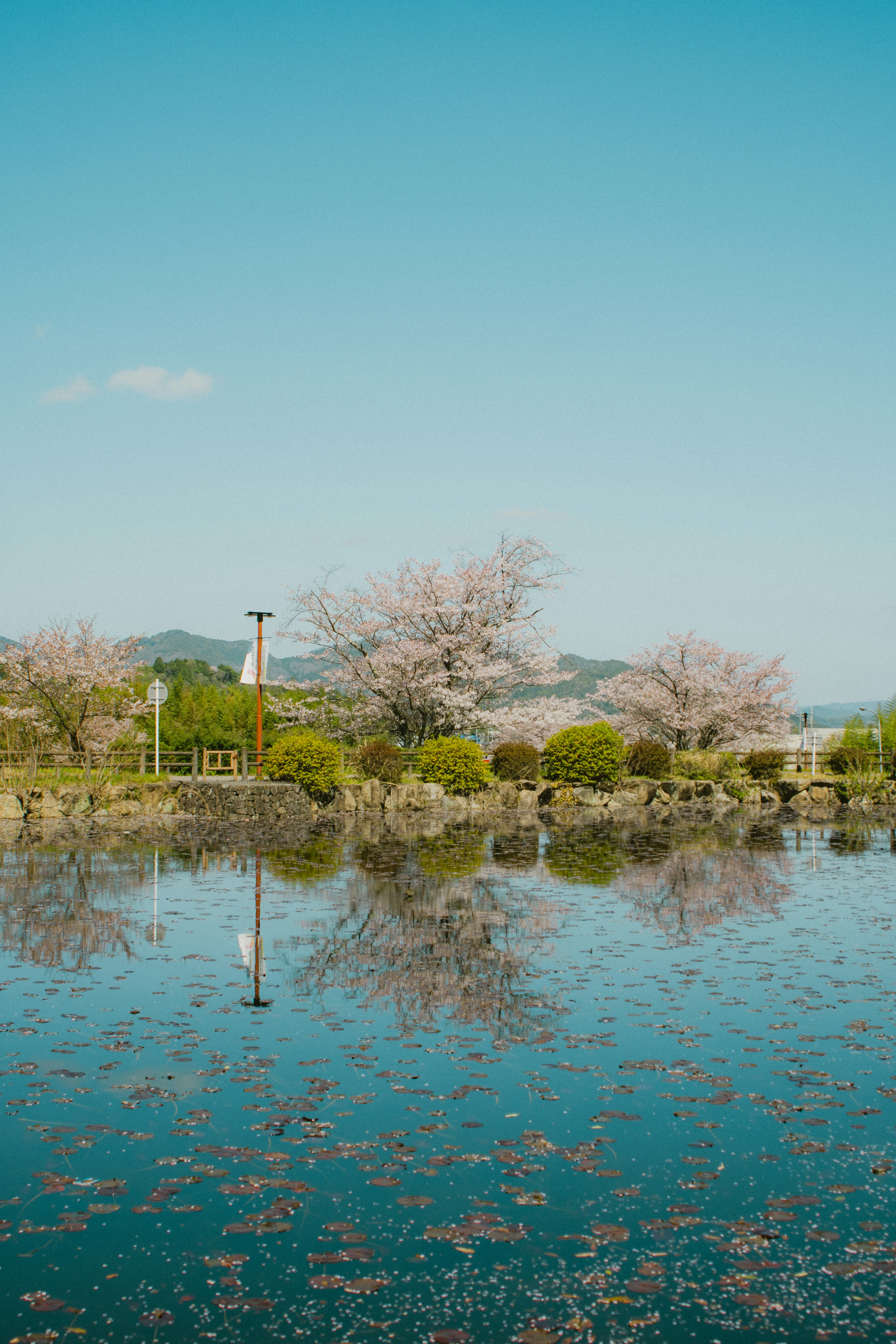 Photo by srtgraphy