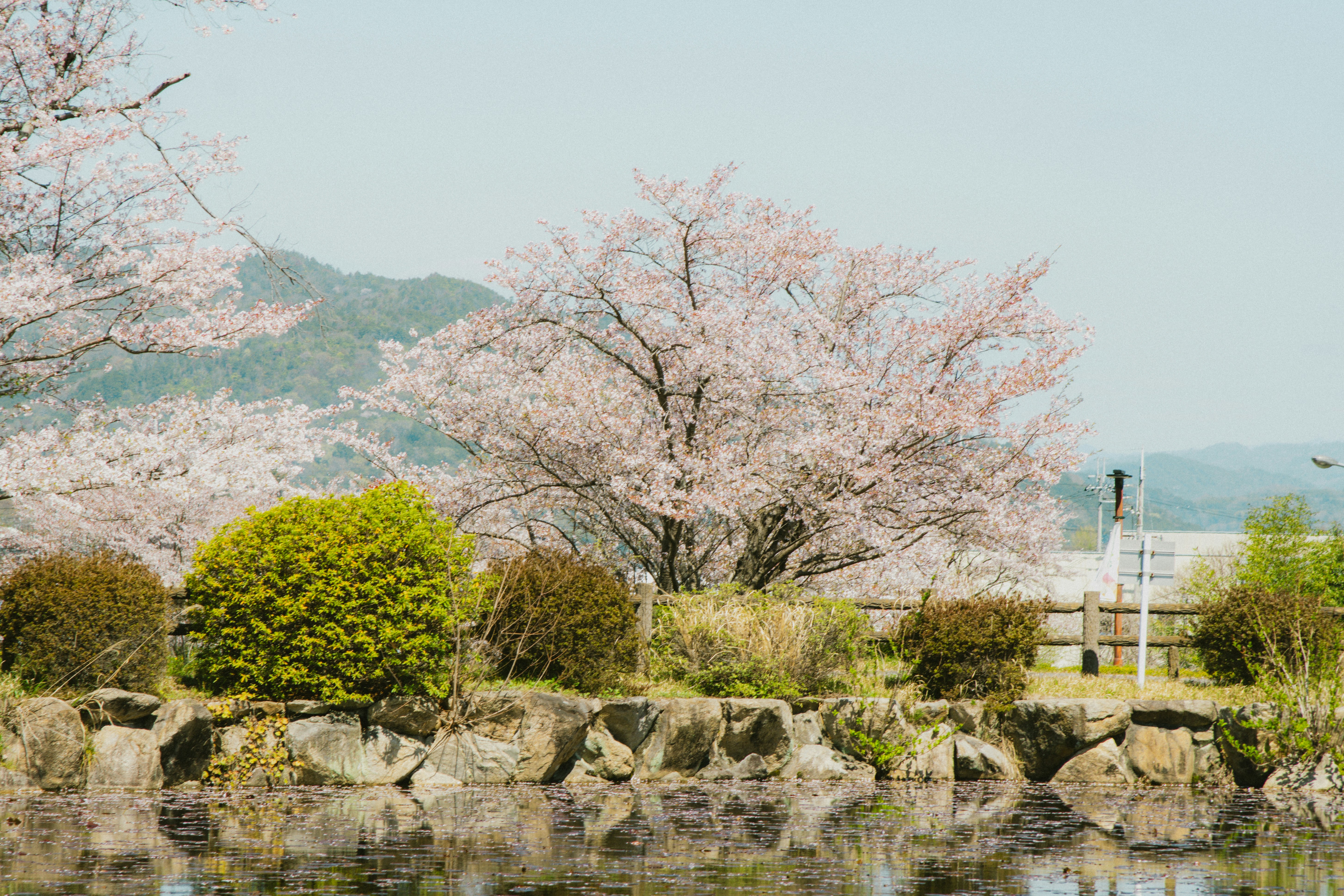 Photo by srtgraphy