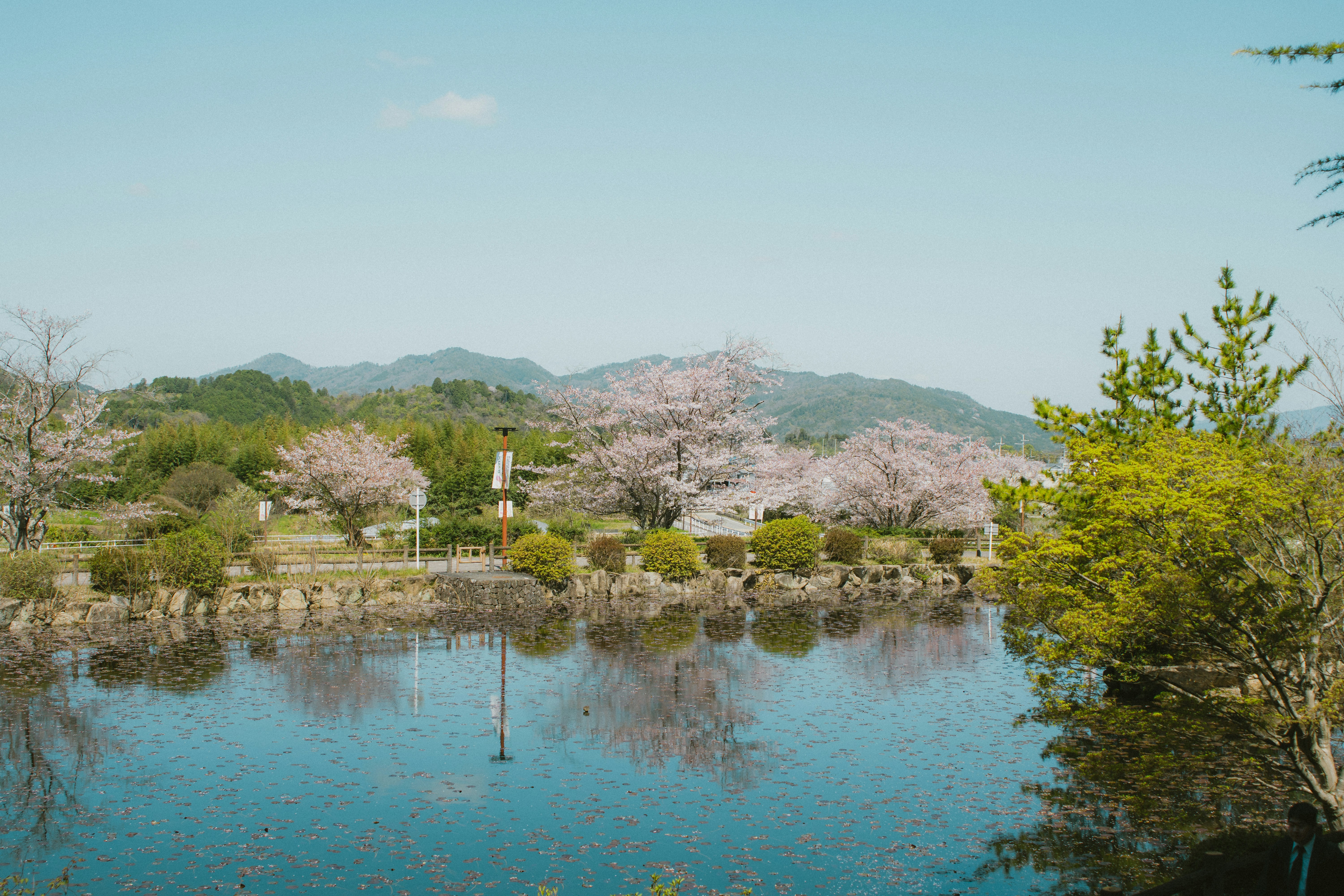 Photo by srtgraphy
