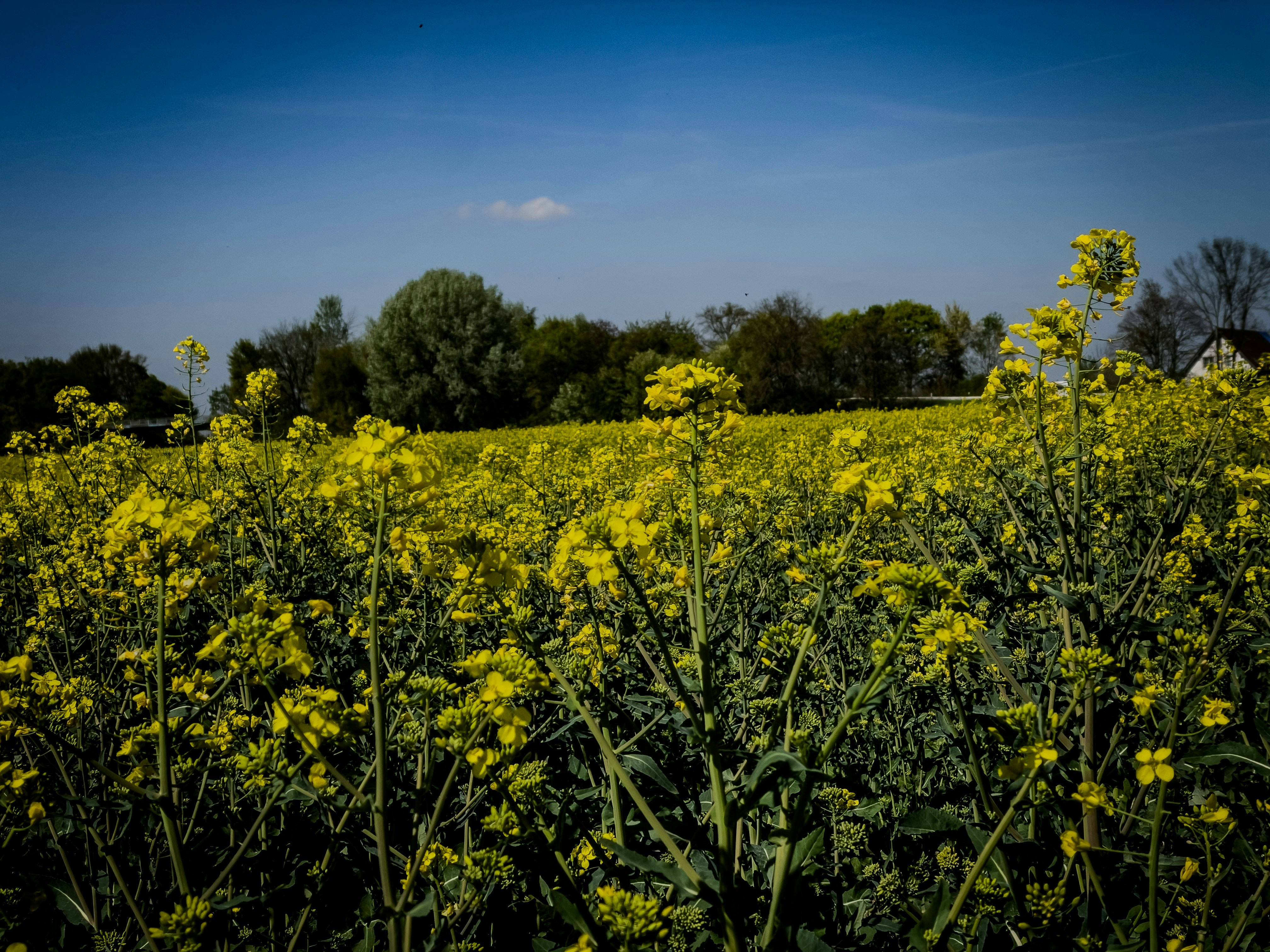 Photo by hdbernd