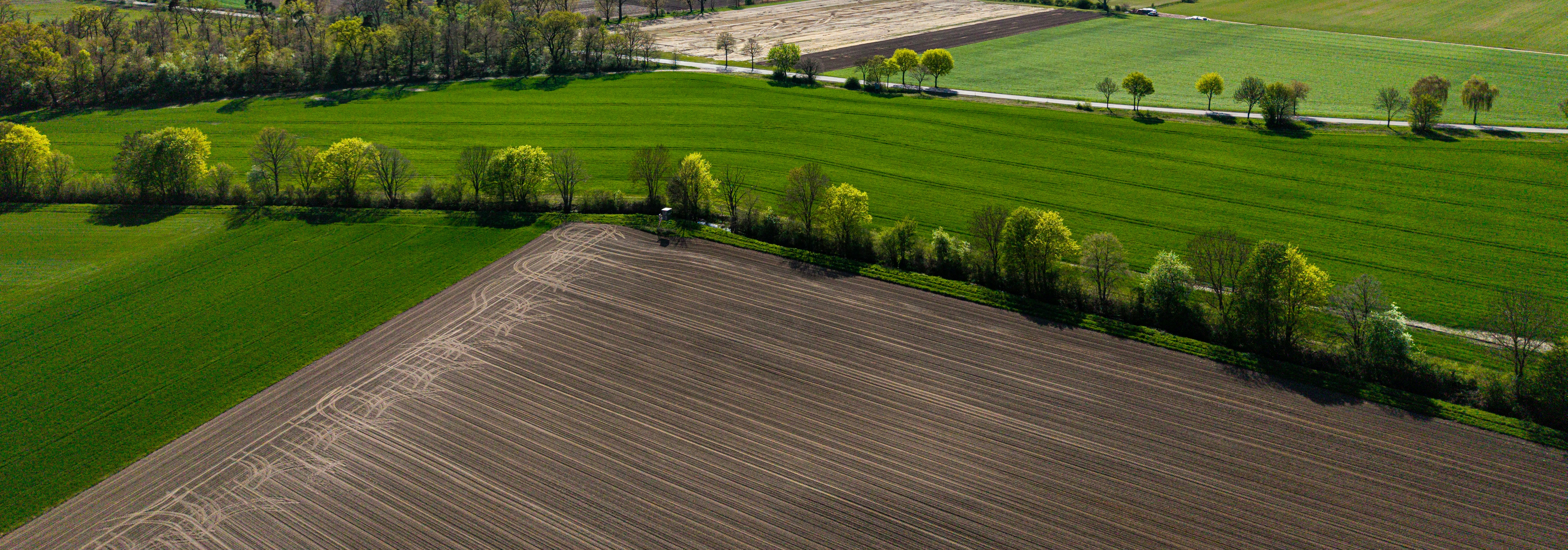 Aerial view of green fields and plowed earth with trees