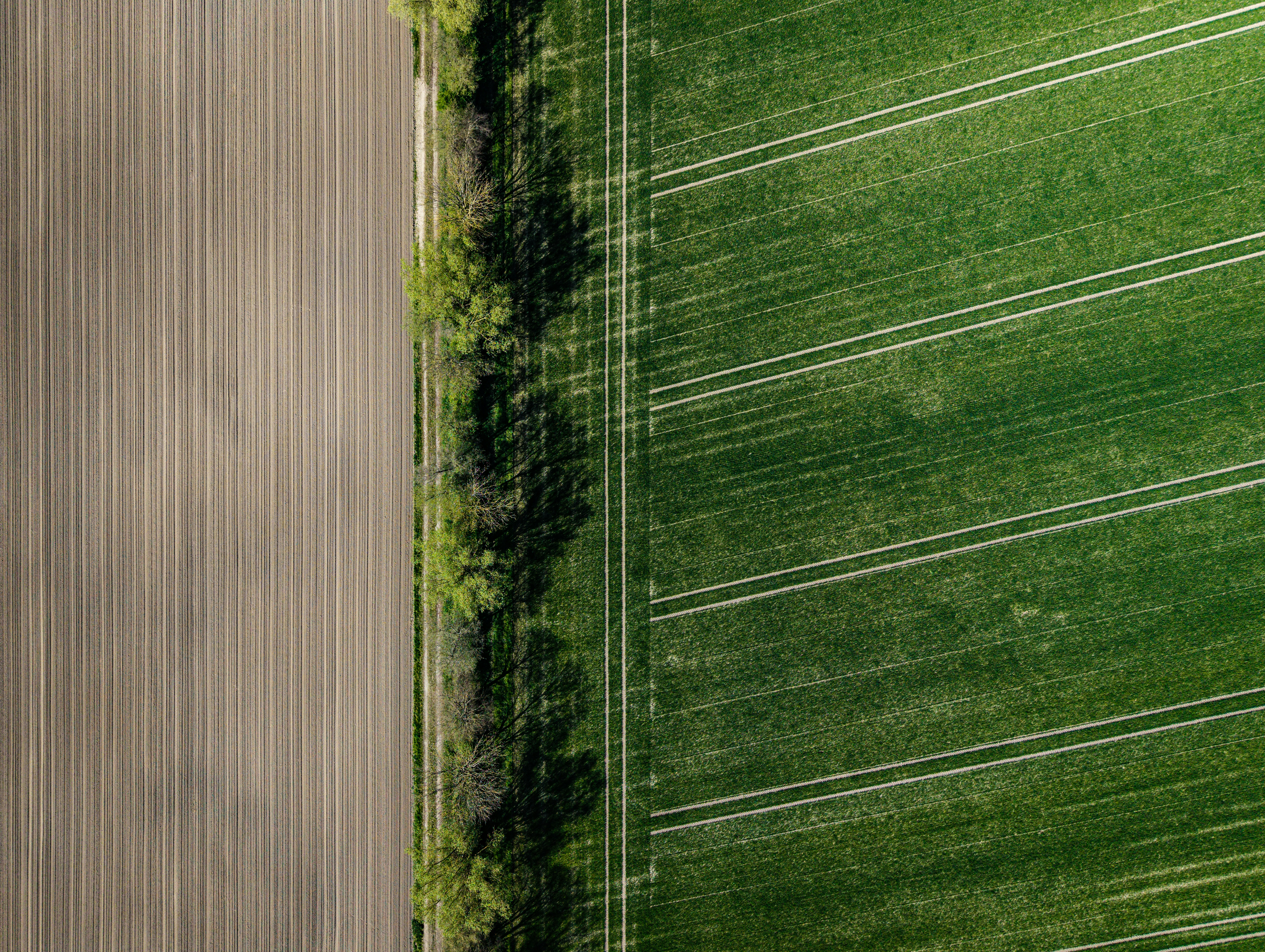 Crop field using our fertilizers