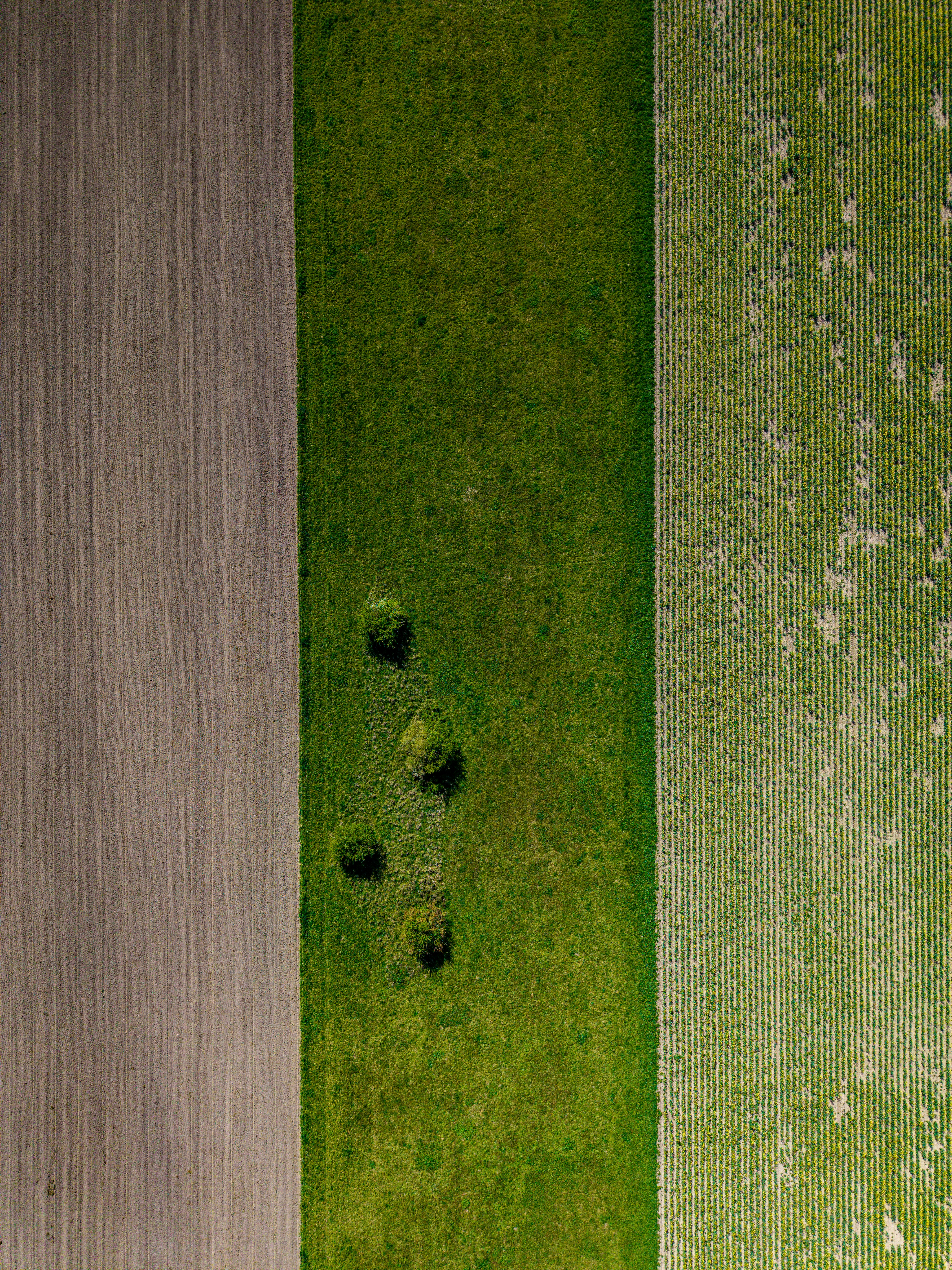Photo by hdbernd