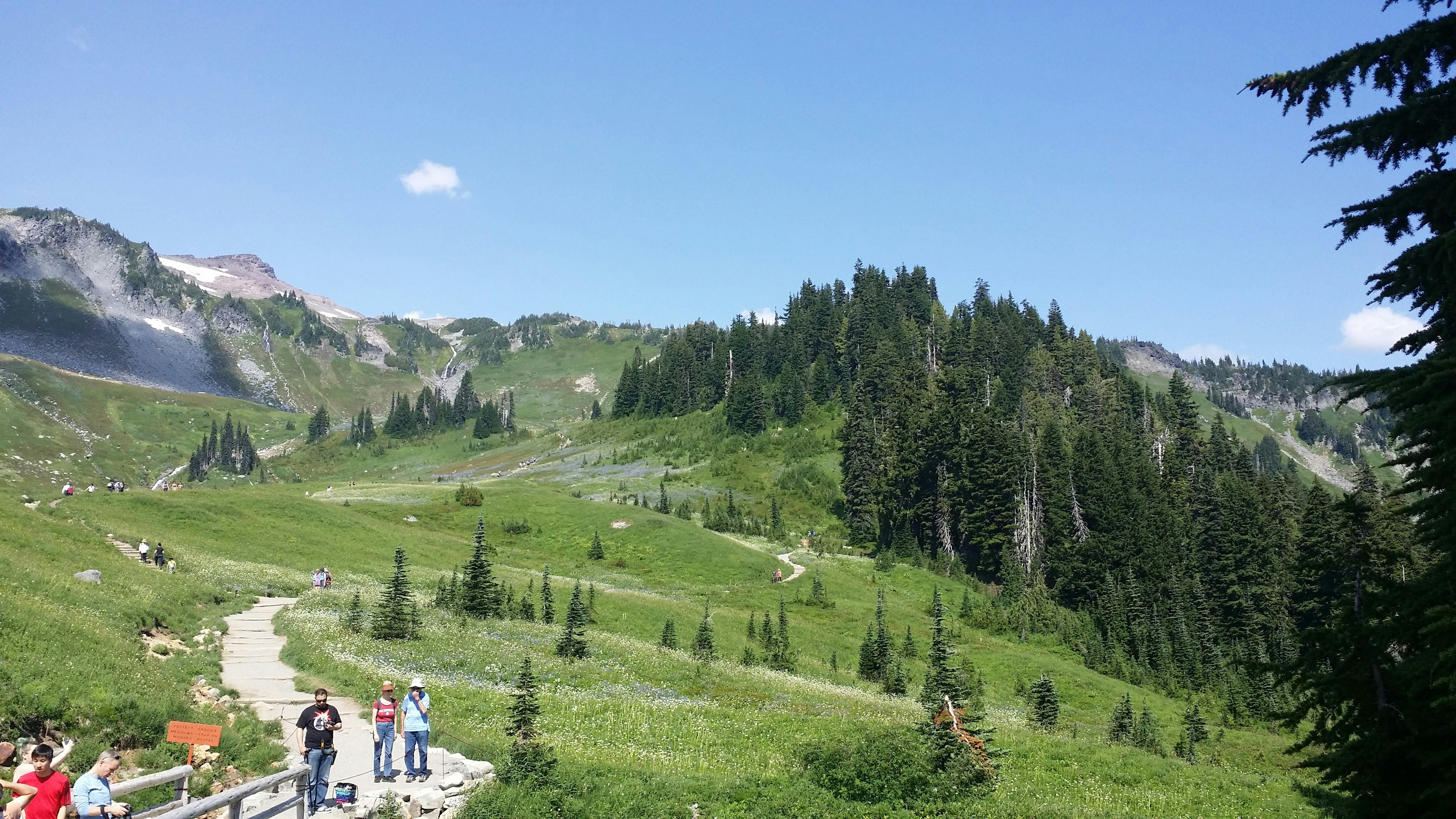 People walking on a path through a green mountain landscape.