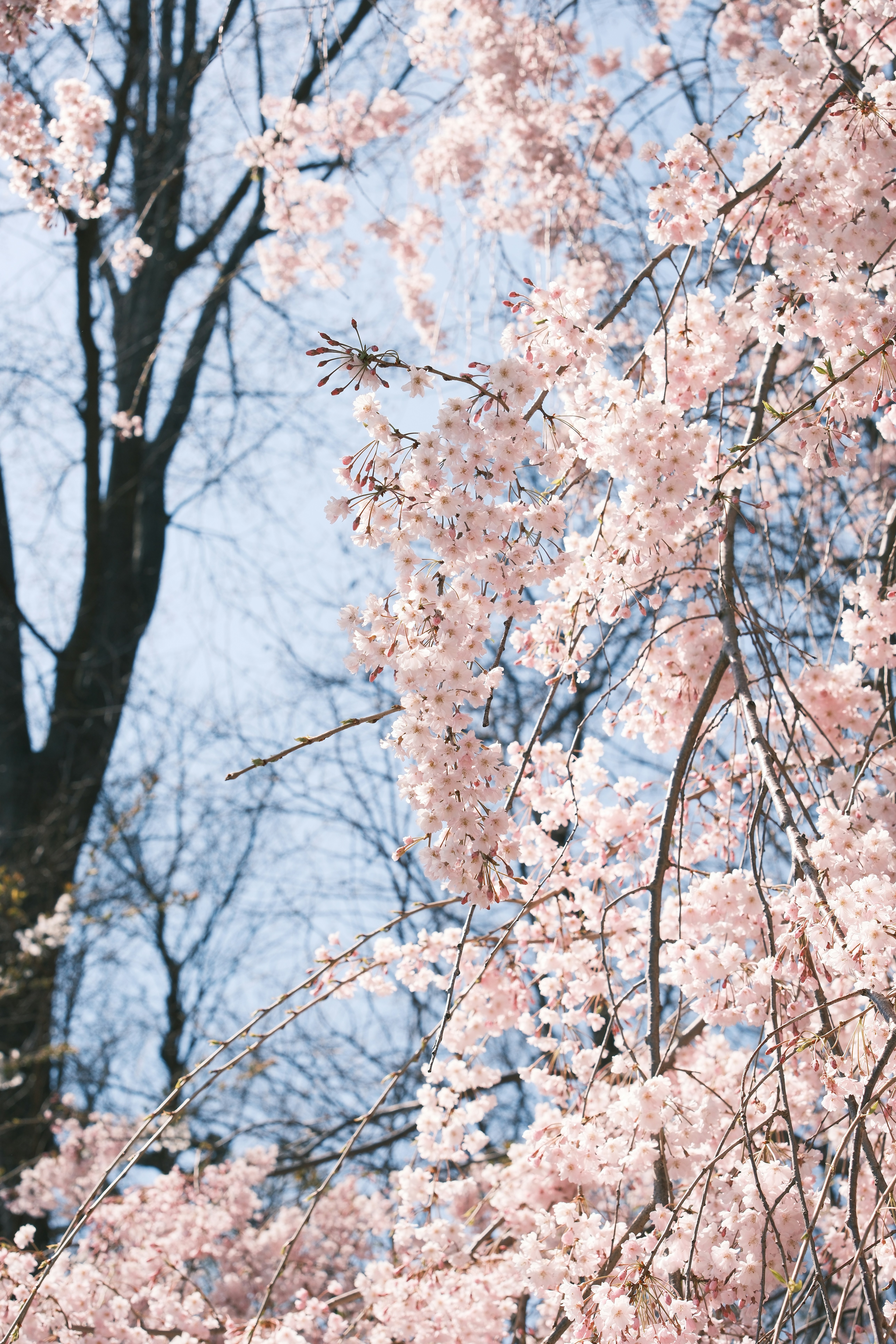 Photo by sawadeeka