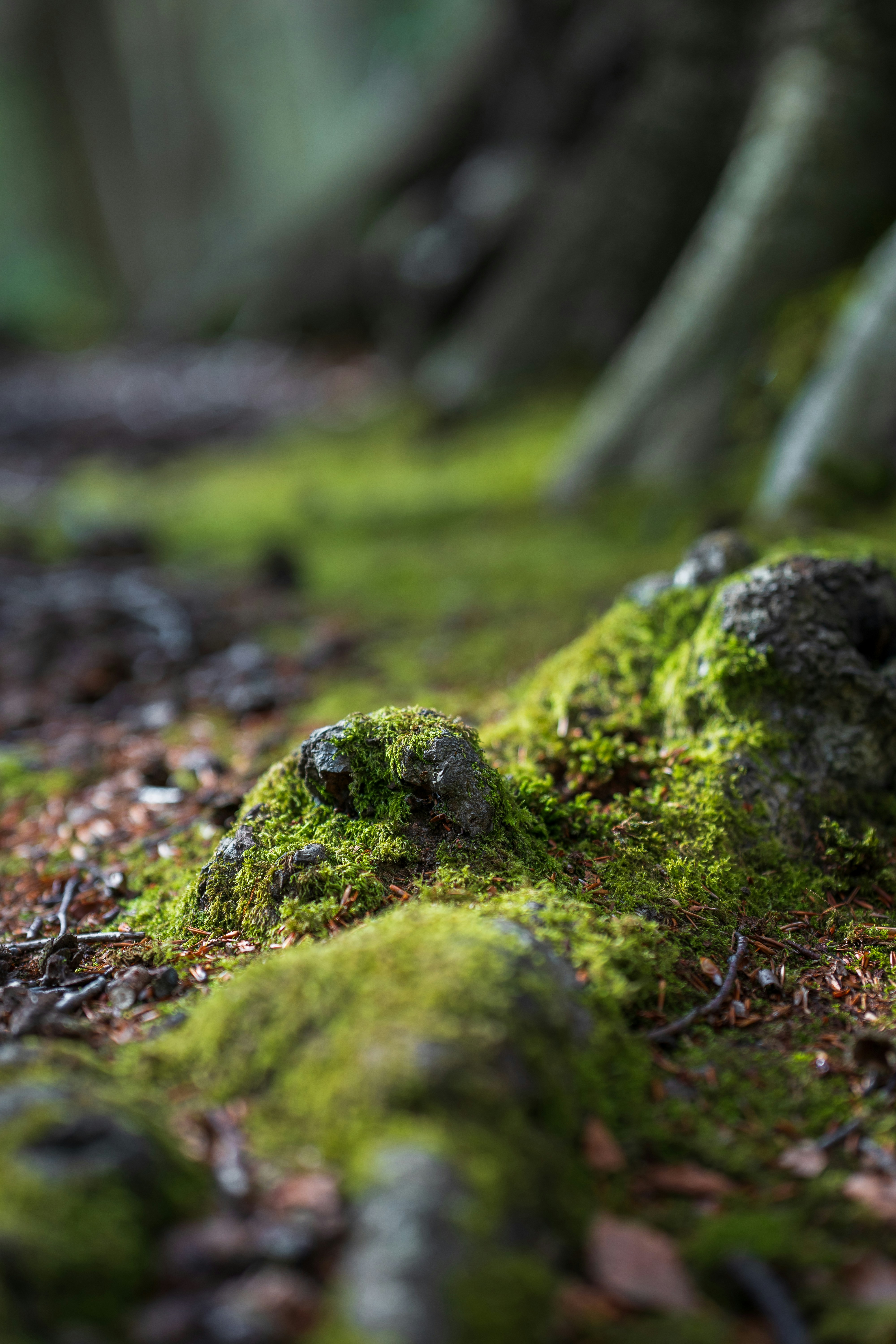 Photo by jakubeq