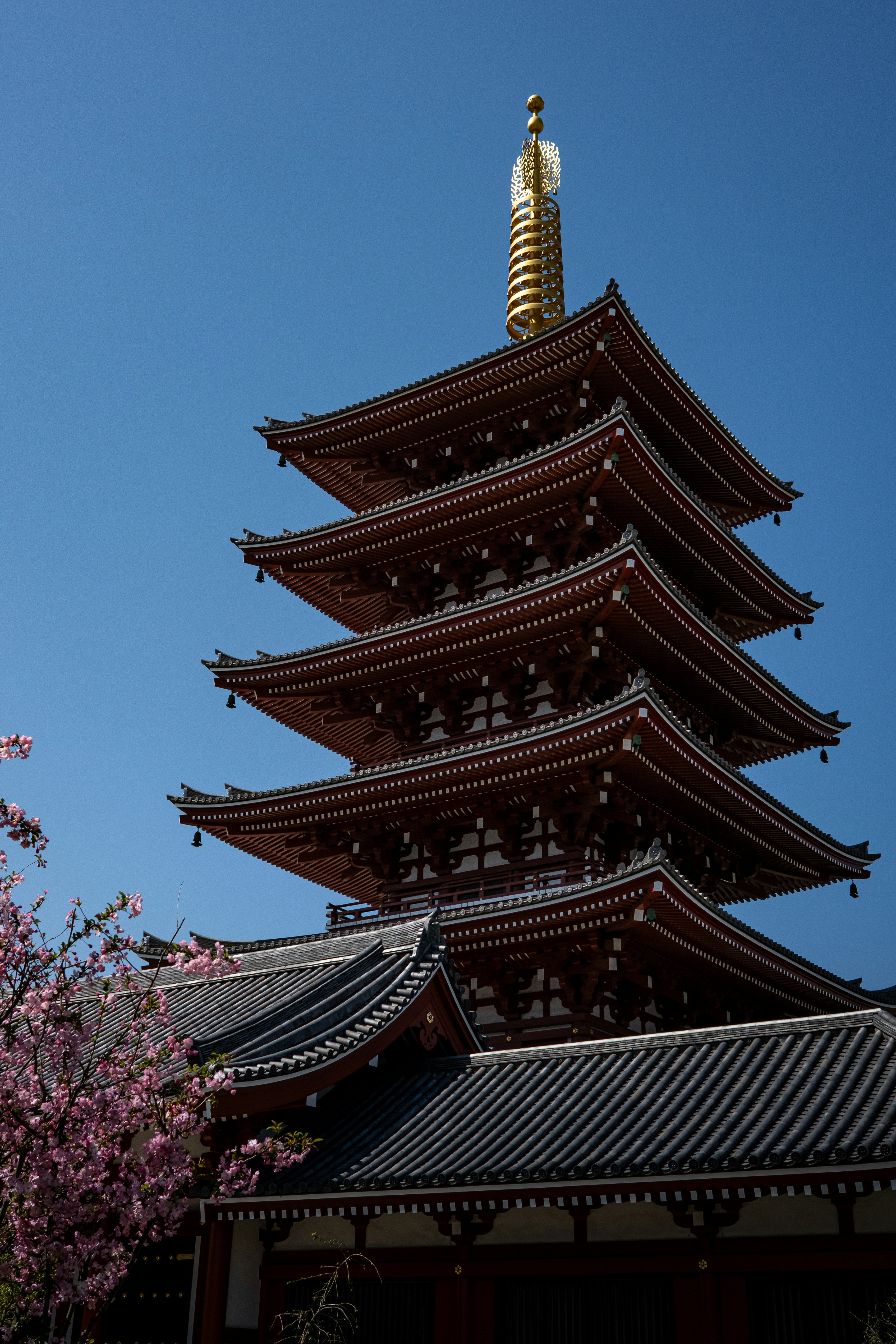 Une pagode haute et ornée se dresse devant un ciel bleu clair.