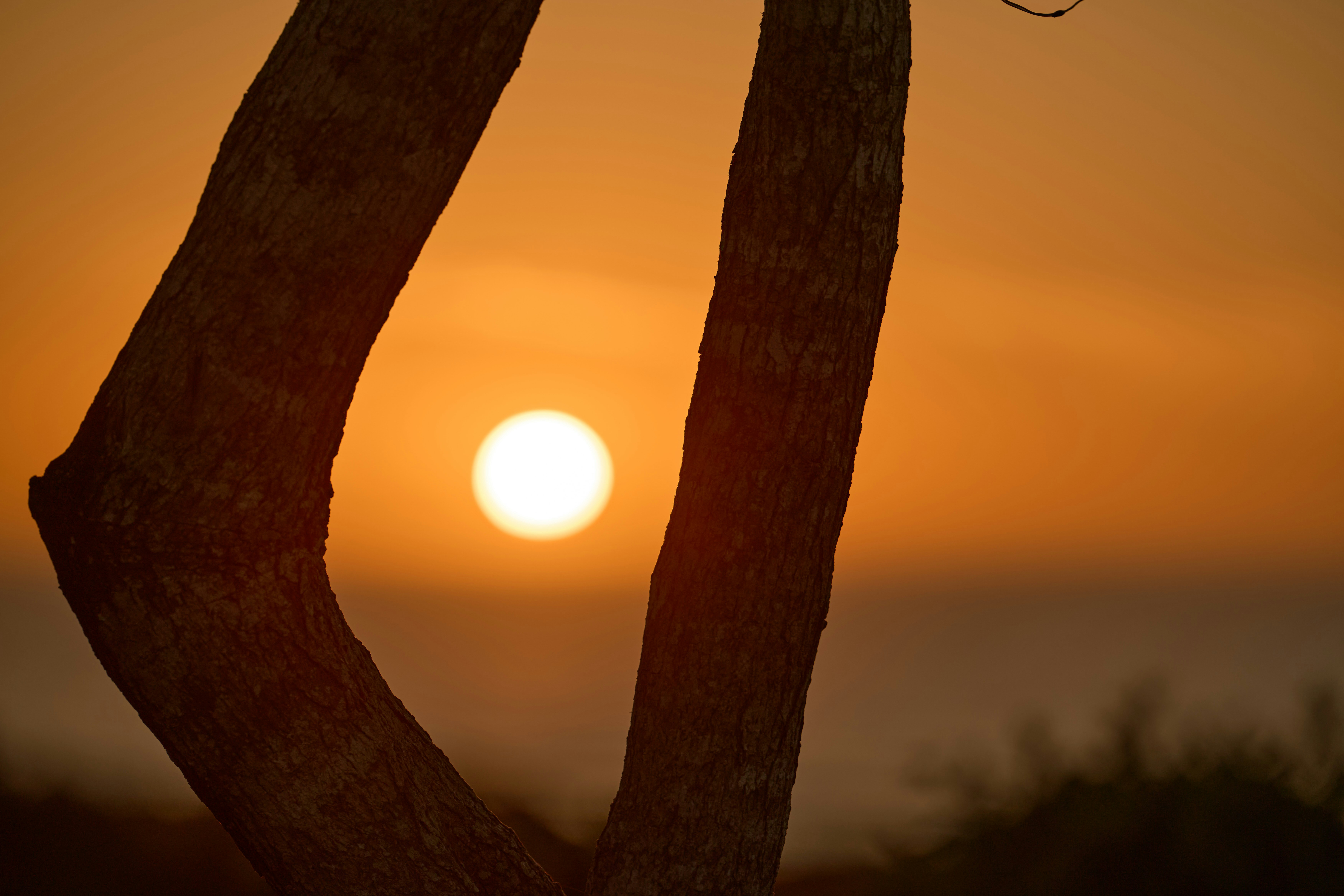 바다 지평선 너머로 지는 밝은 해.