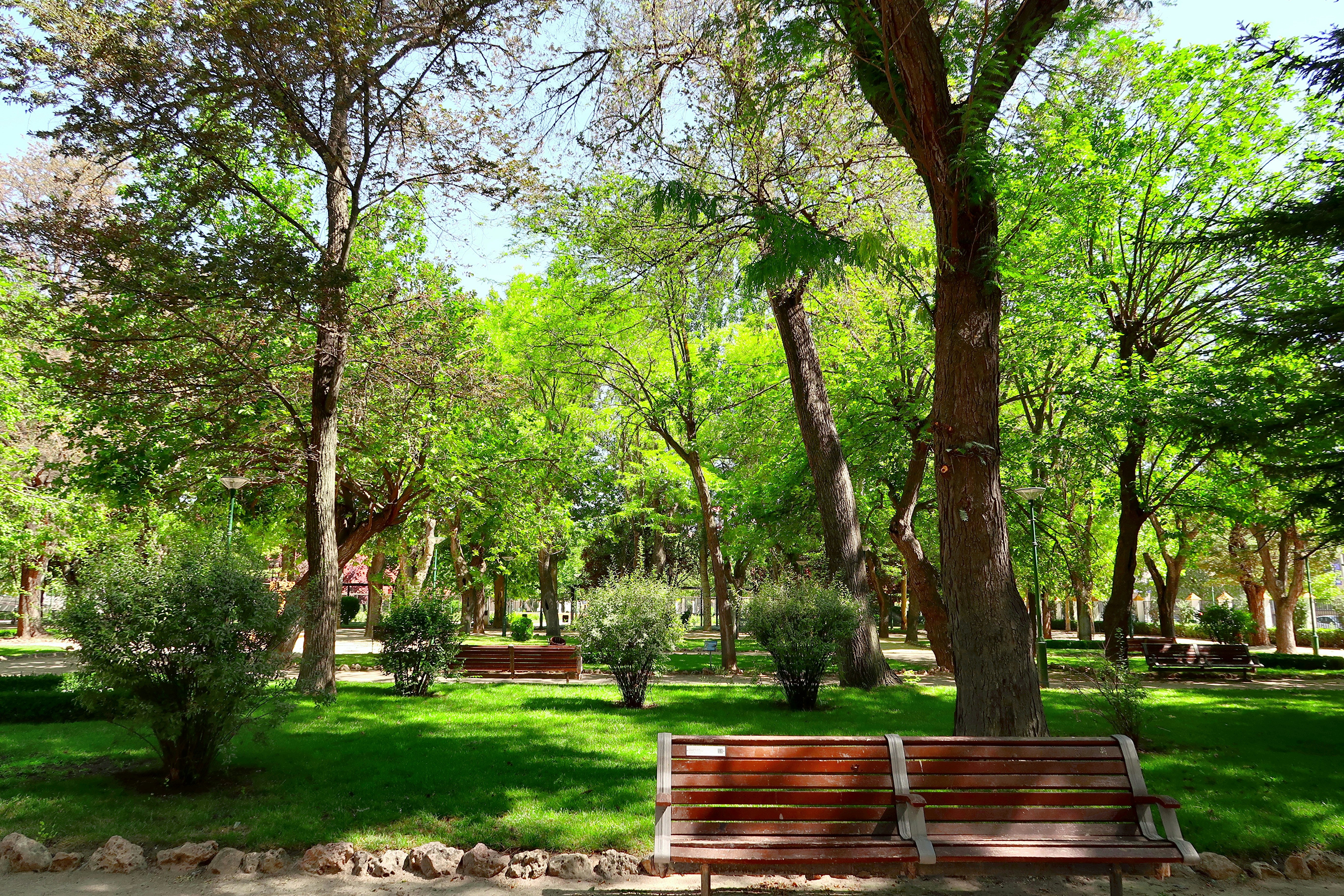 Ipai - Tipai Park
