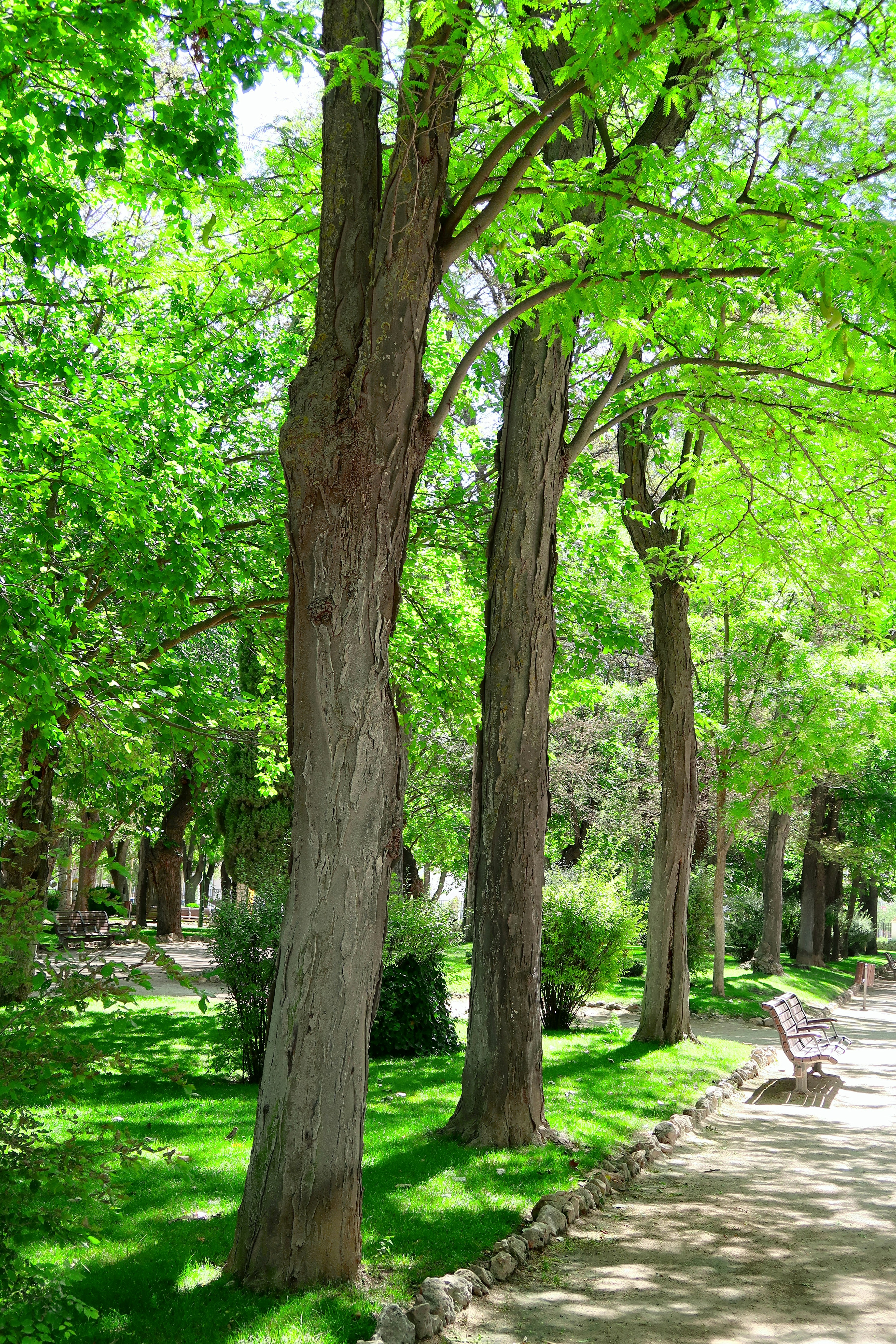 Por el parque