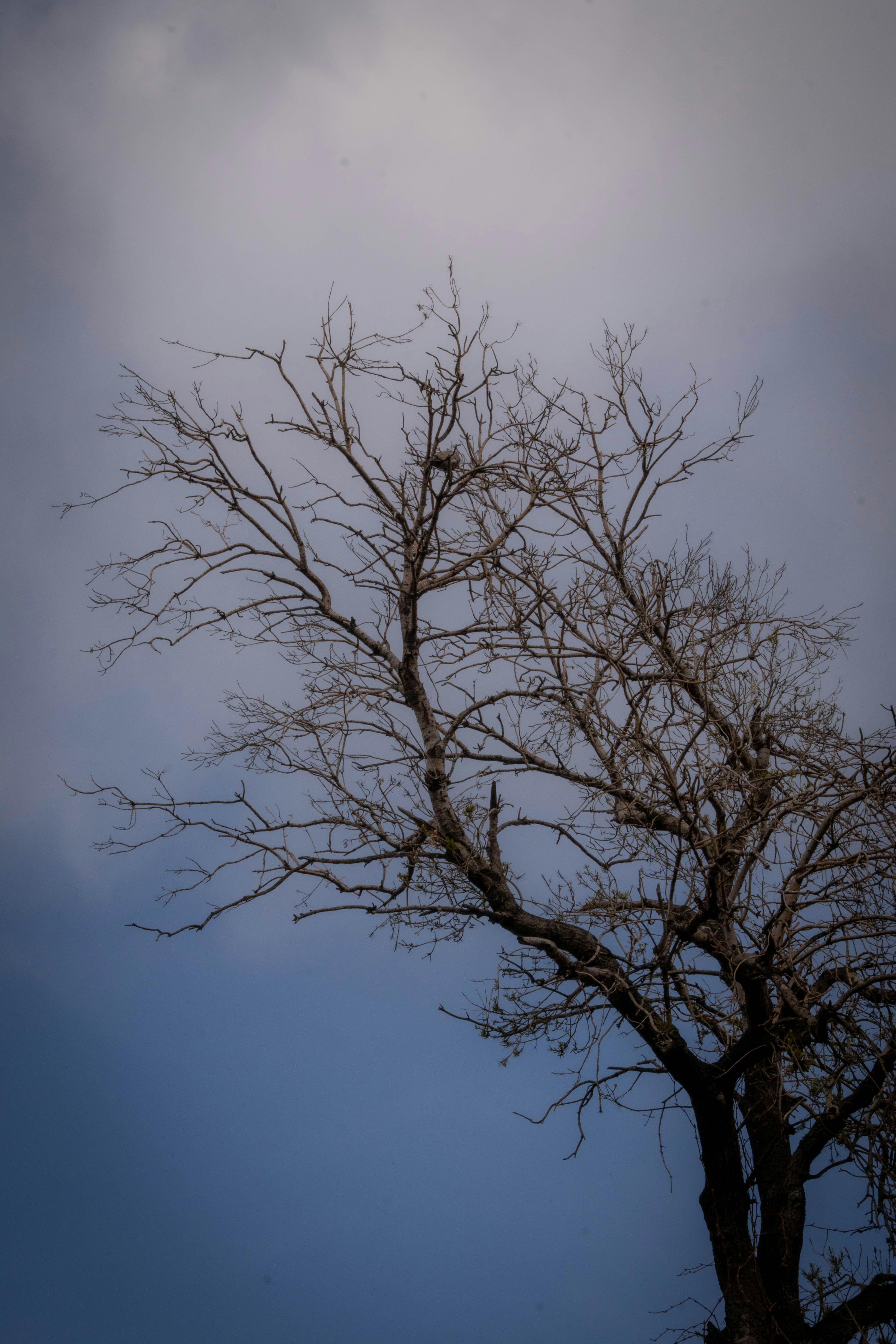 Photo by maviatlas