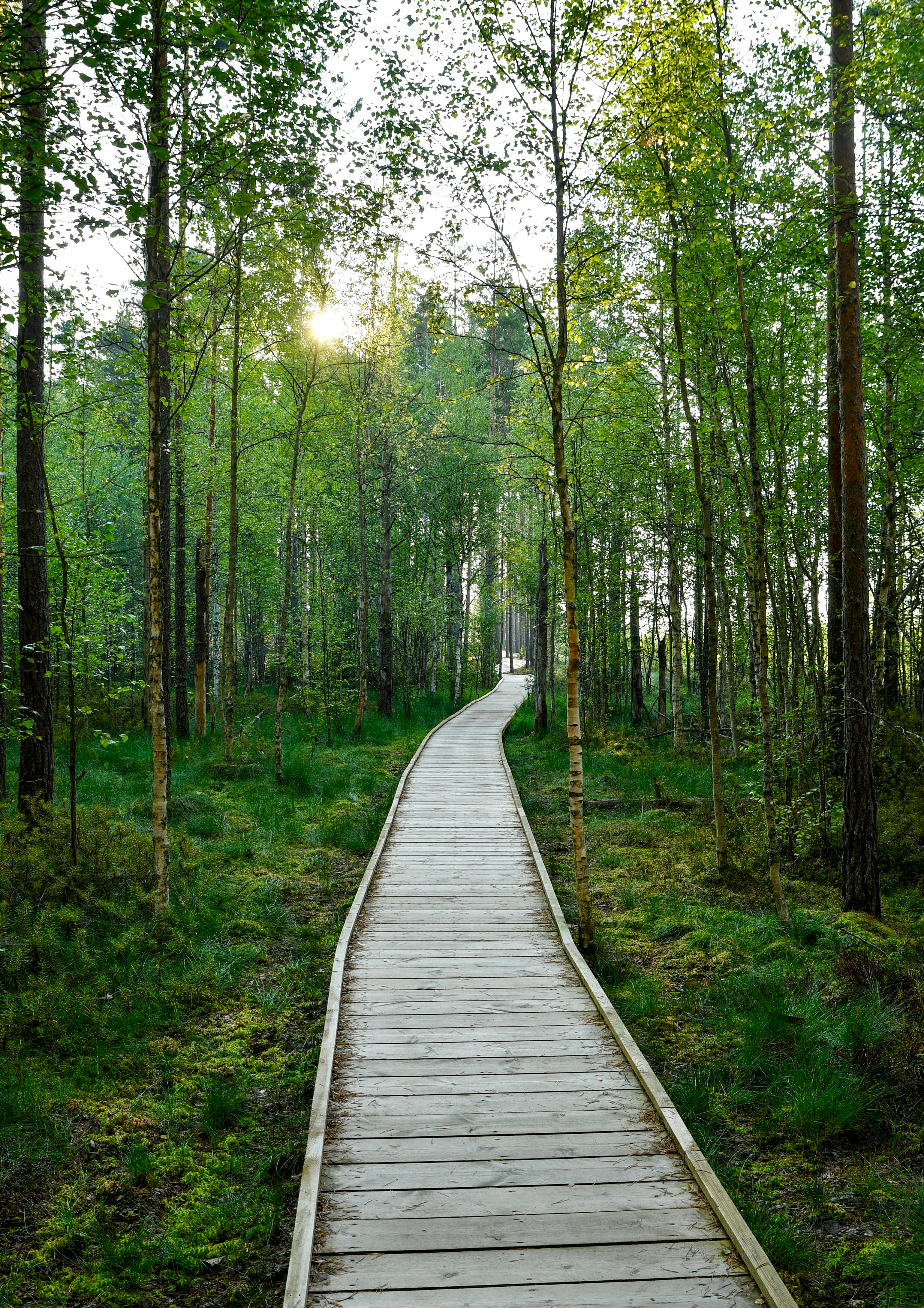 Vormsi Island: Swedish Heritage and Stone Walls