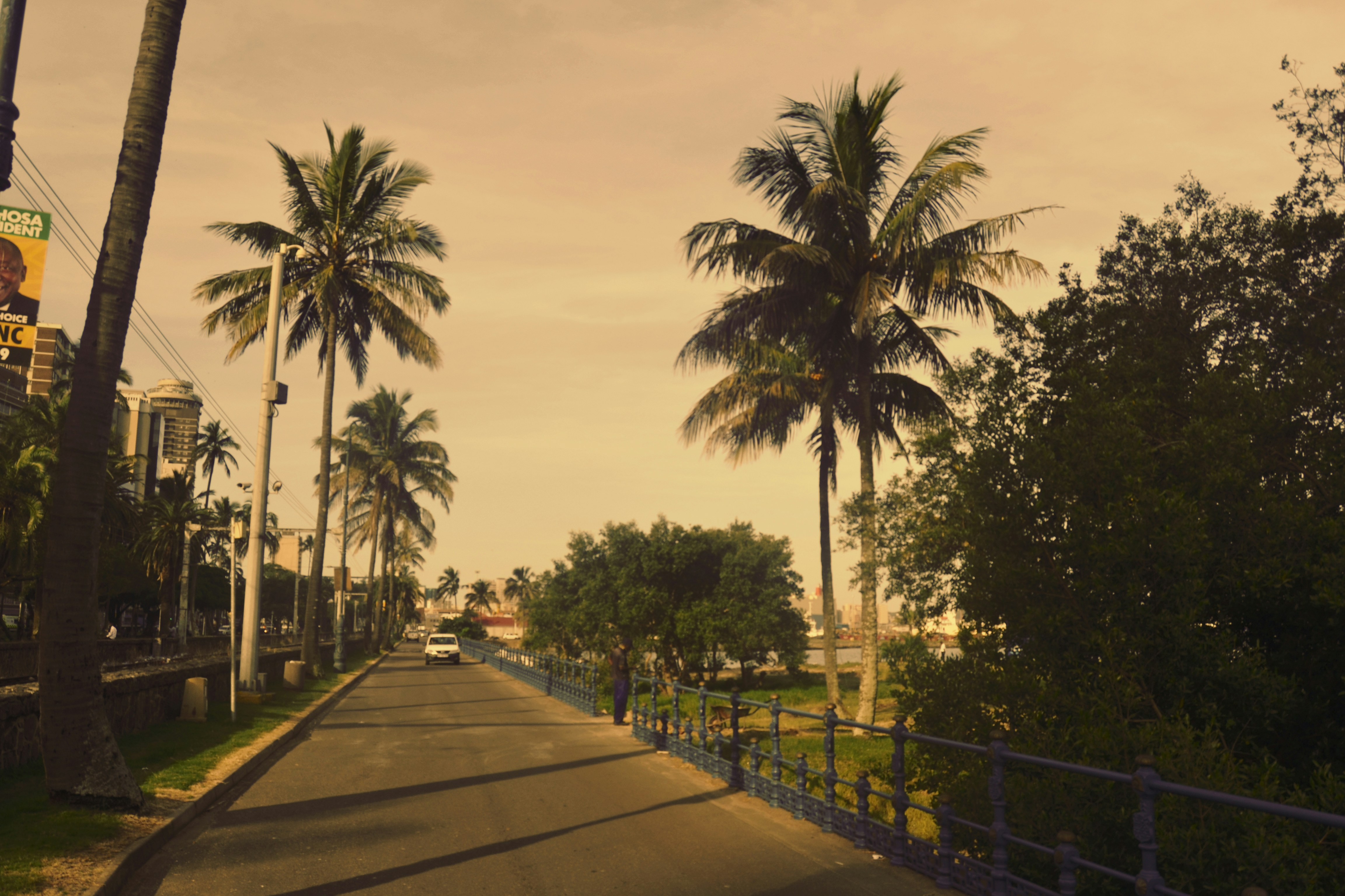 tropical climate car