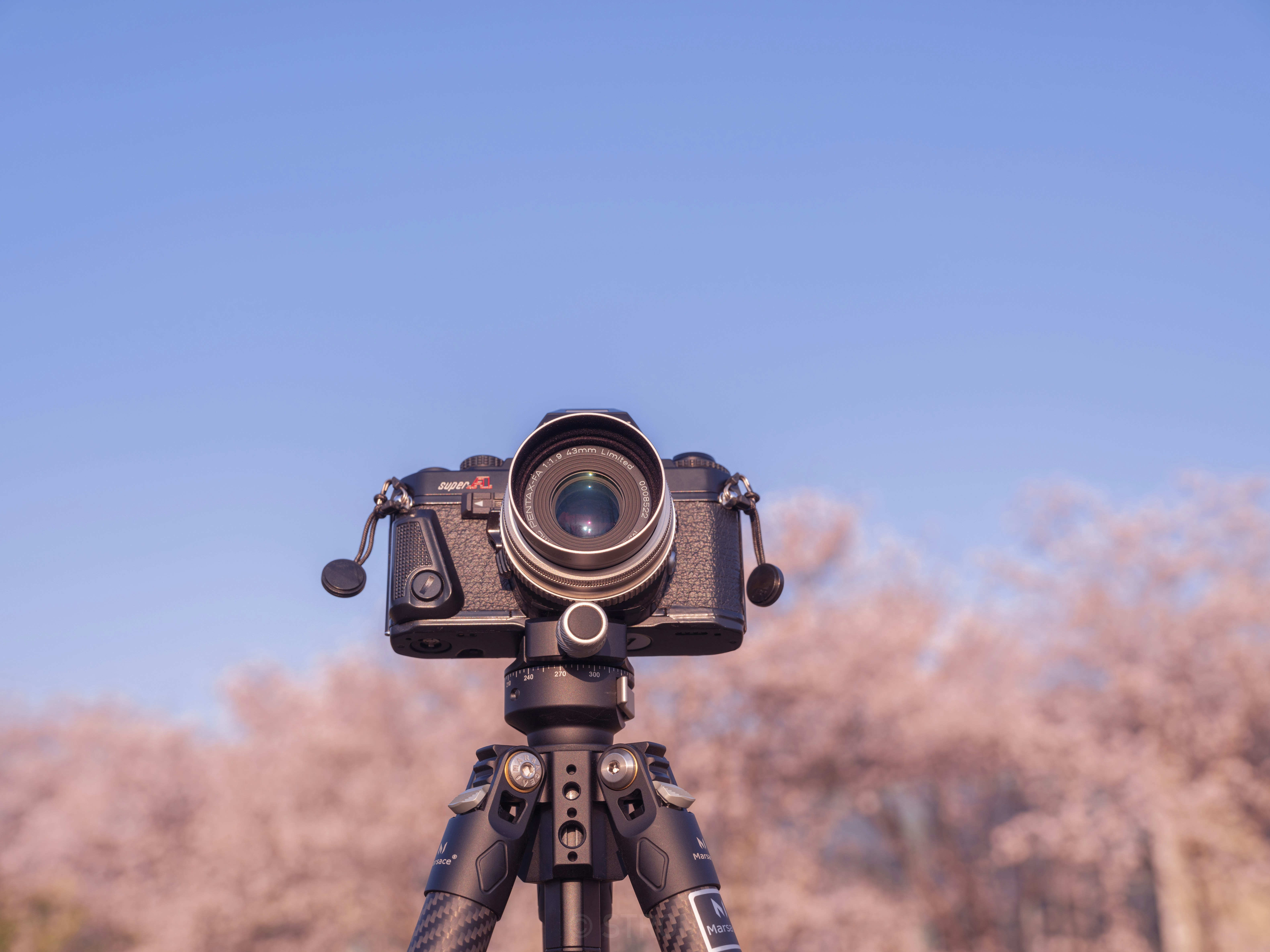 A camera on a tripod with a blurred background.