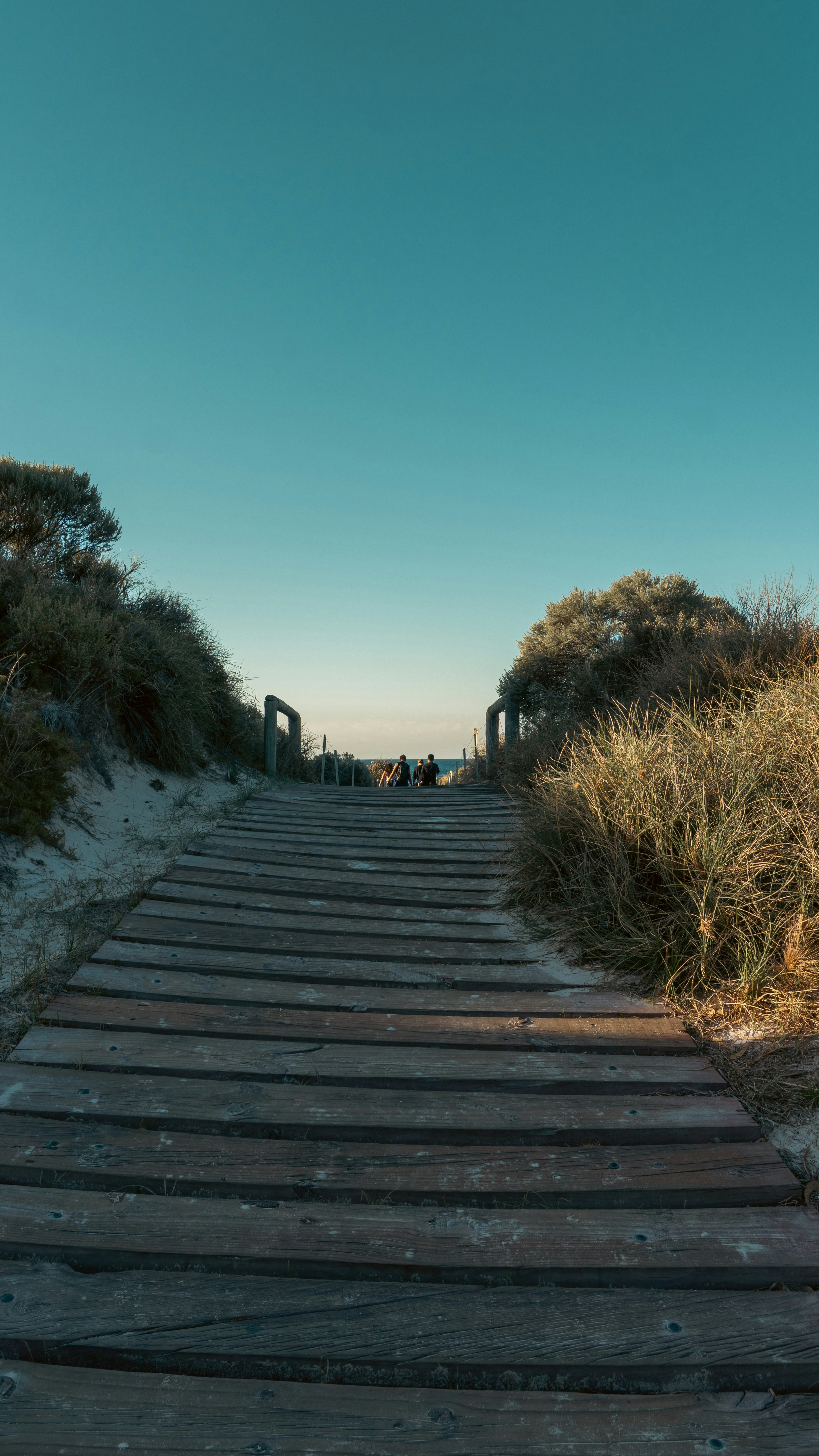 Photo by luchv