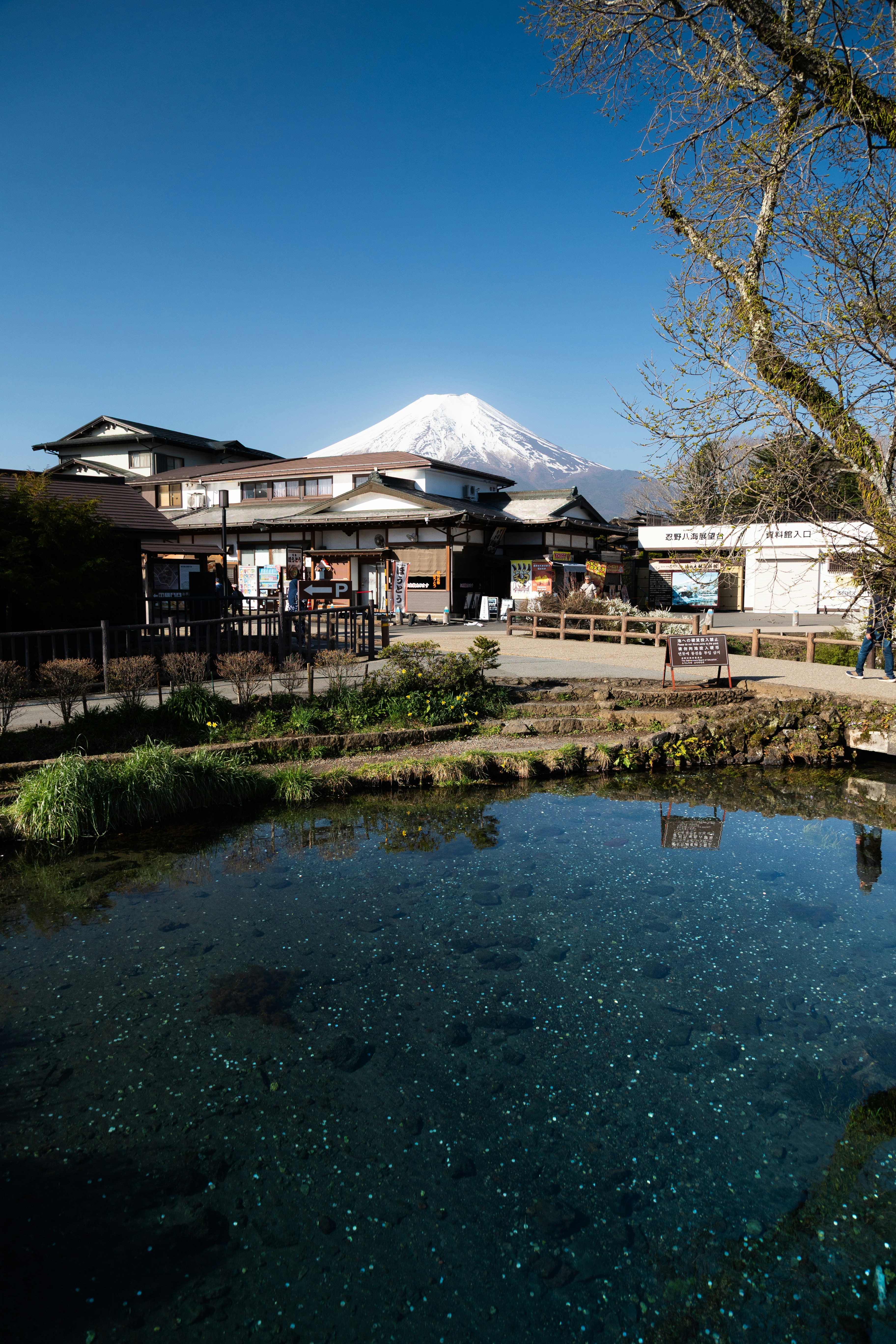Mount fuji visible behind traditional japanese buildings and a pond.