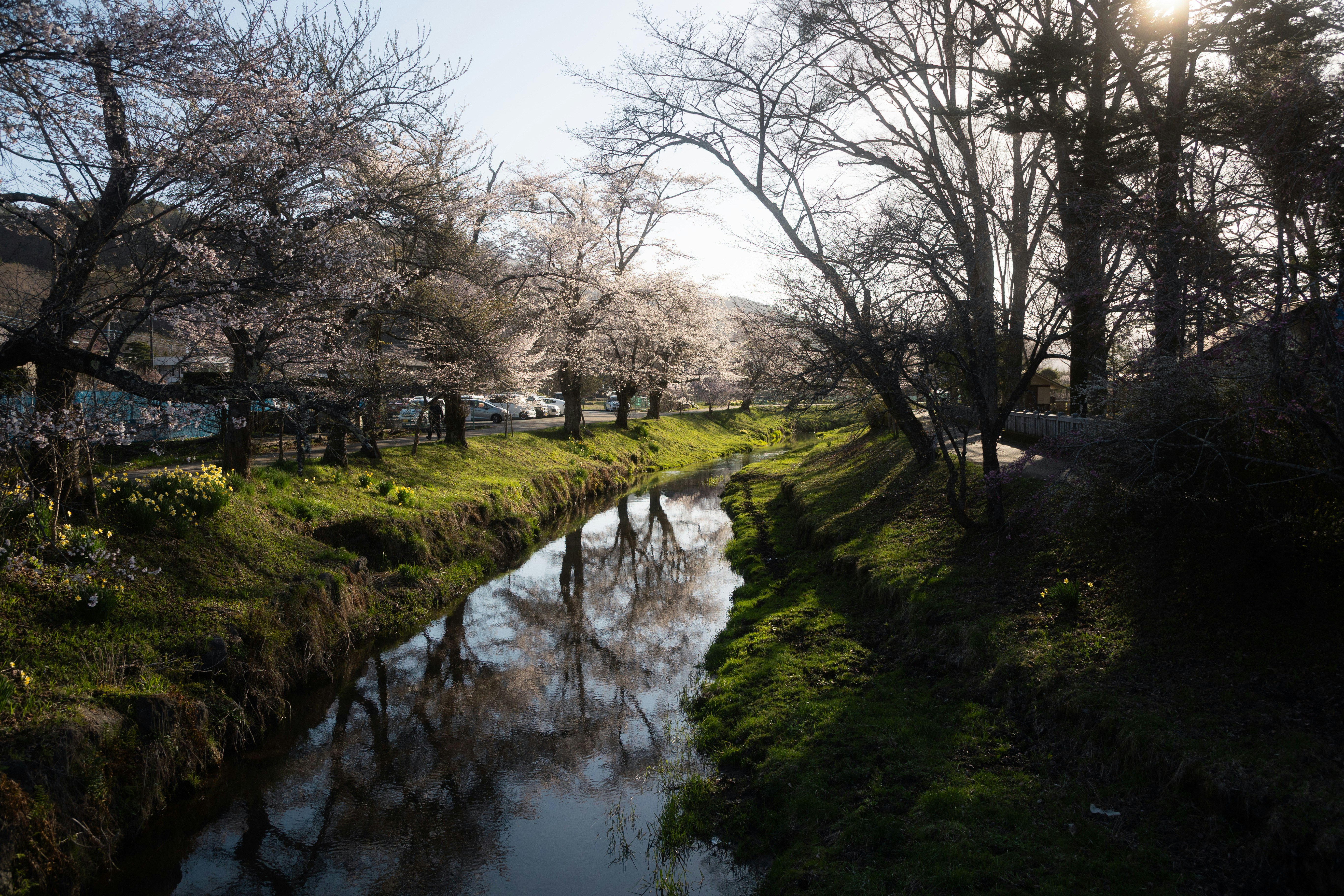 Photo by gakusuyama