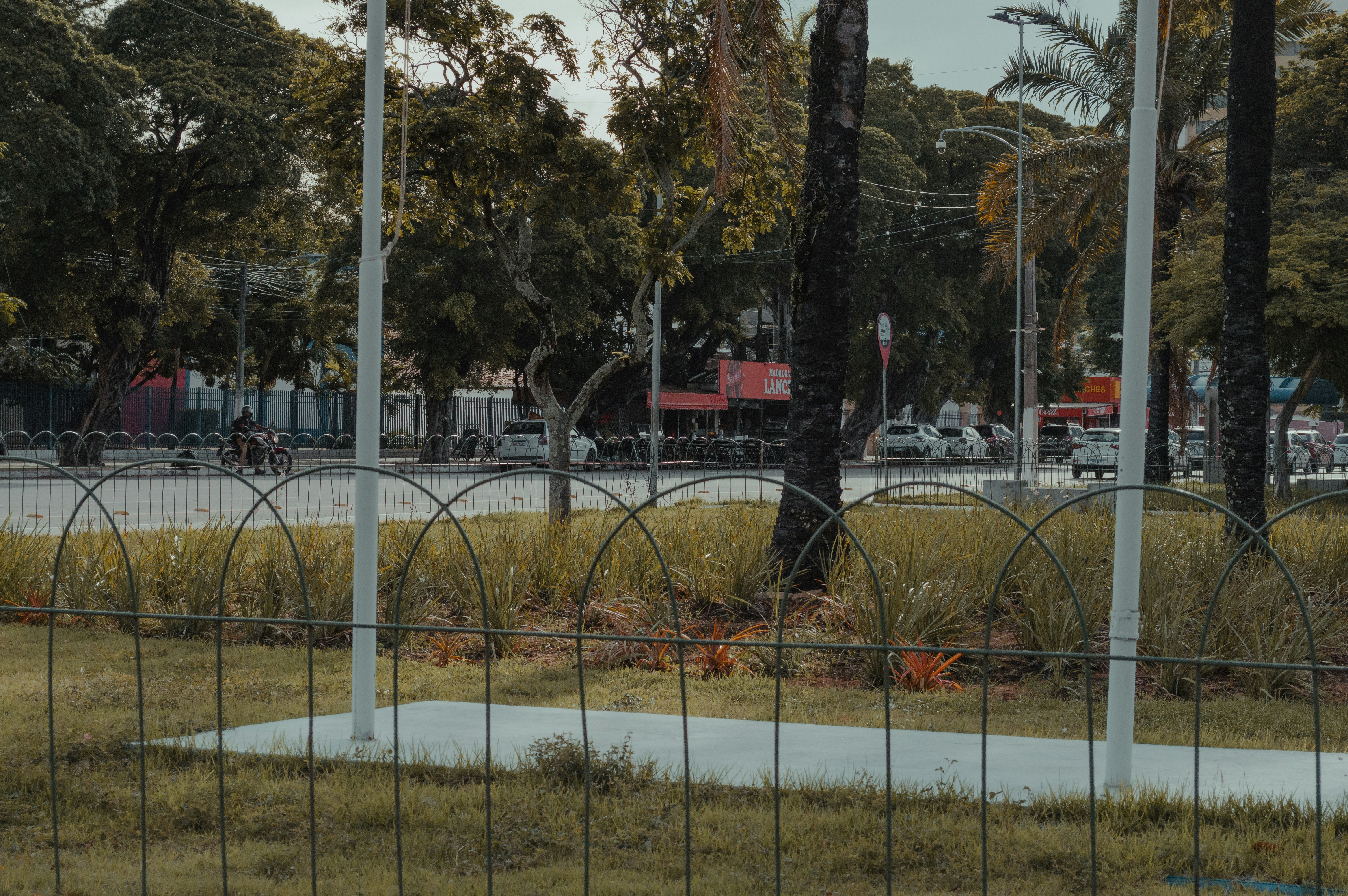 Photo by ivett_m