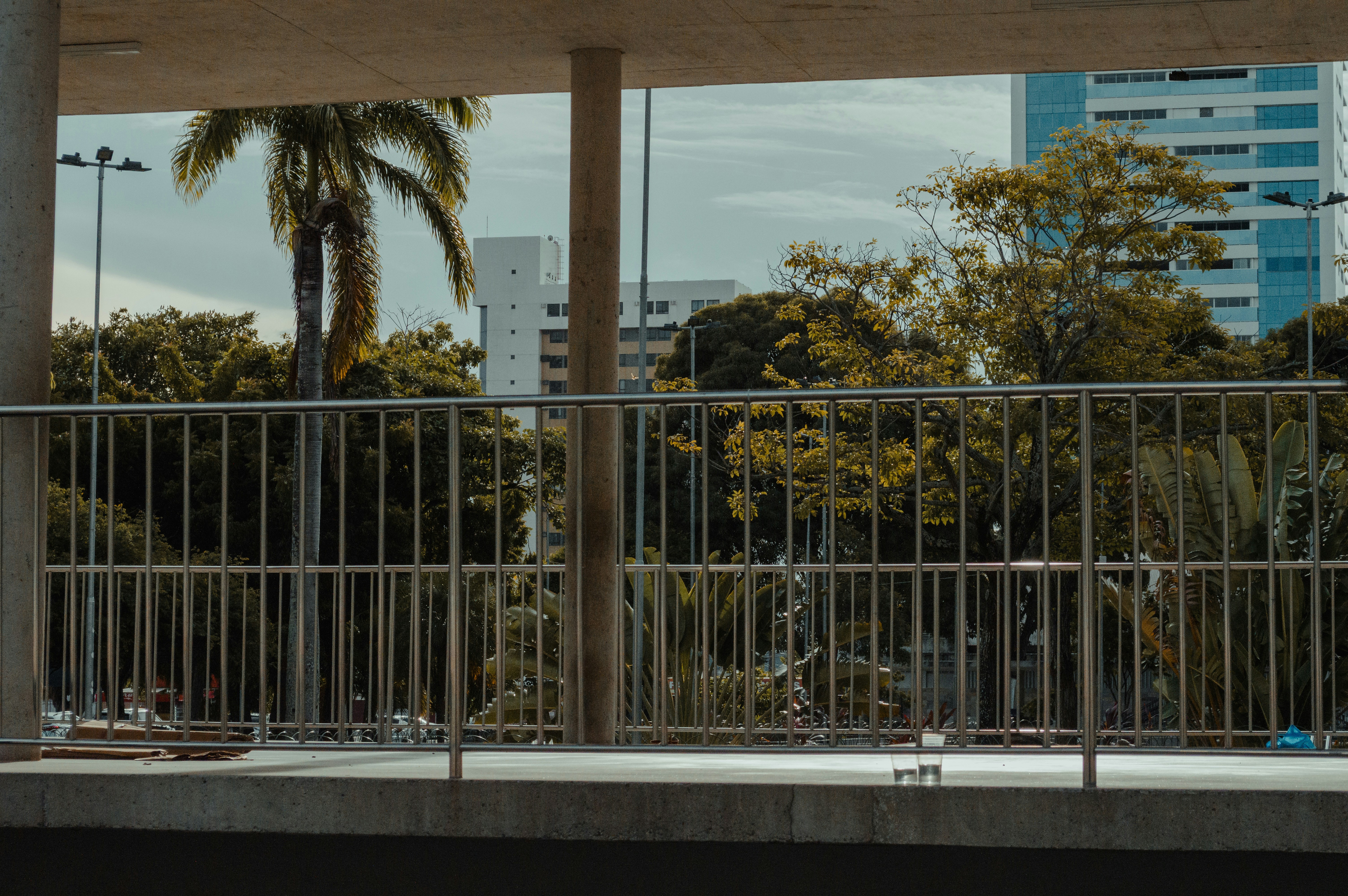 Moderne Gebäude und Palmen hinter einem Geländer
