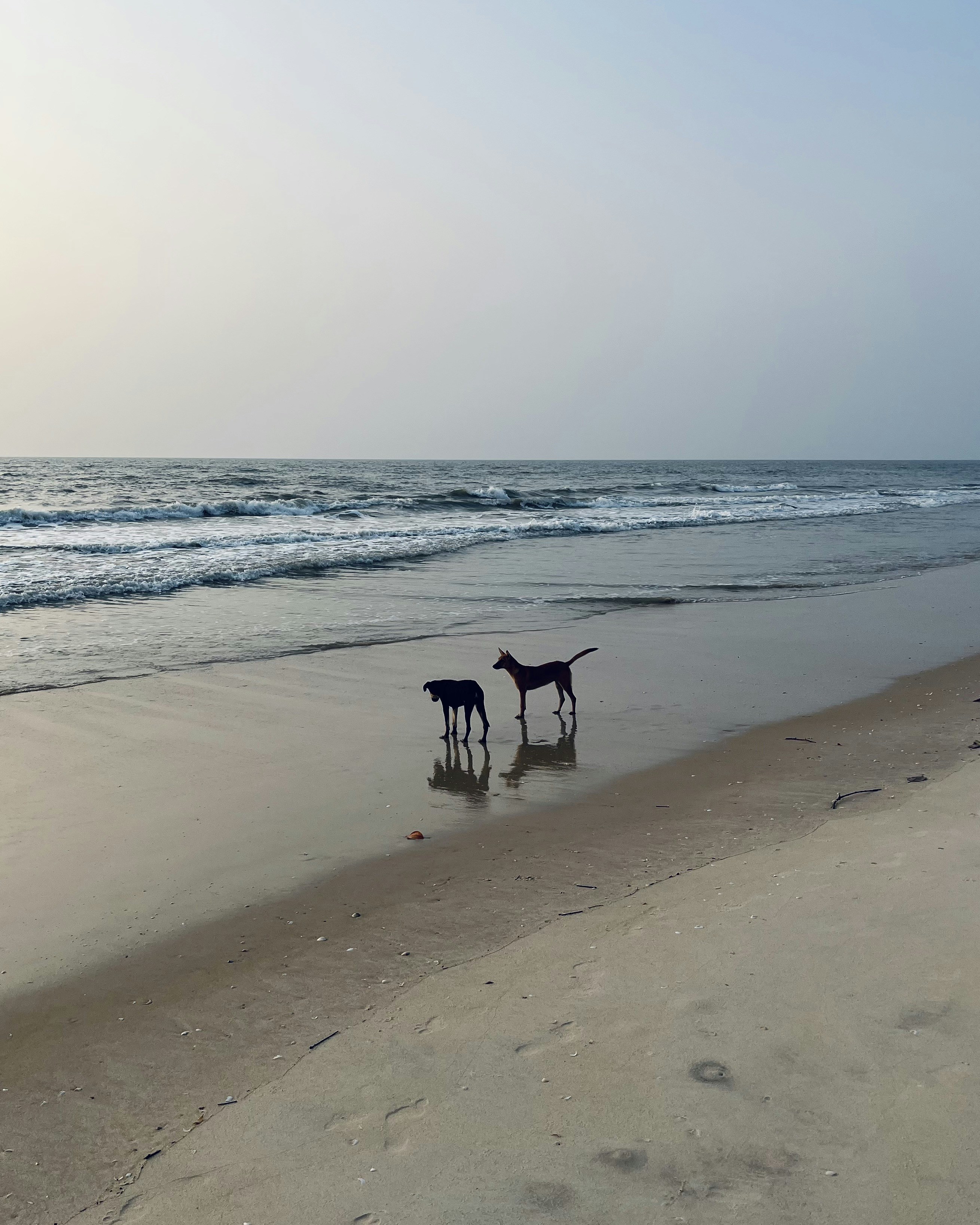 Photo by Vishwasa Navada K