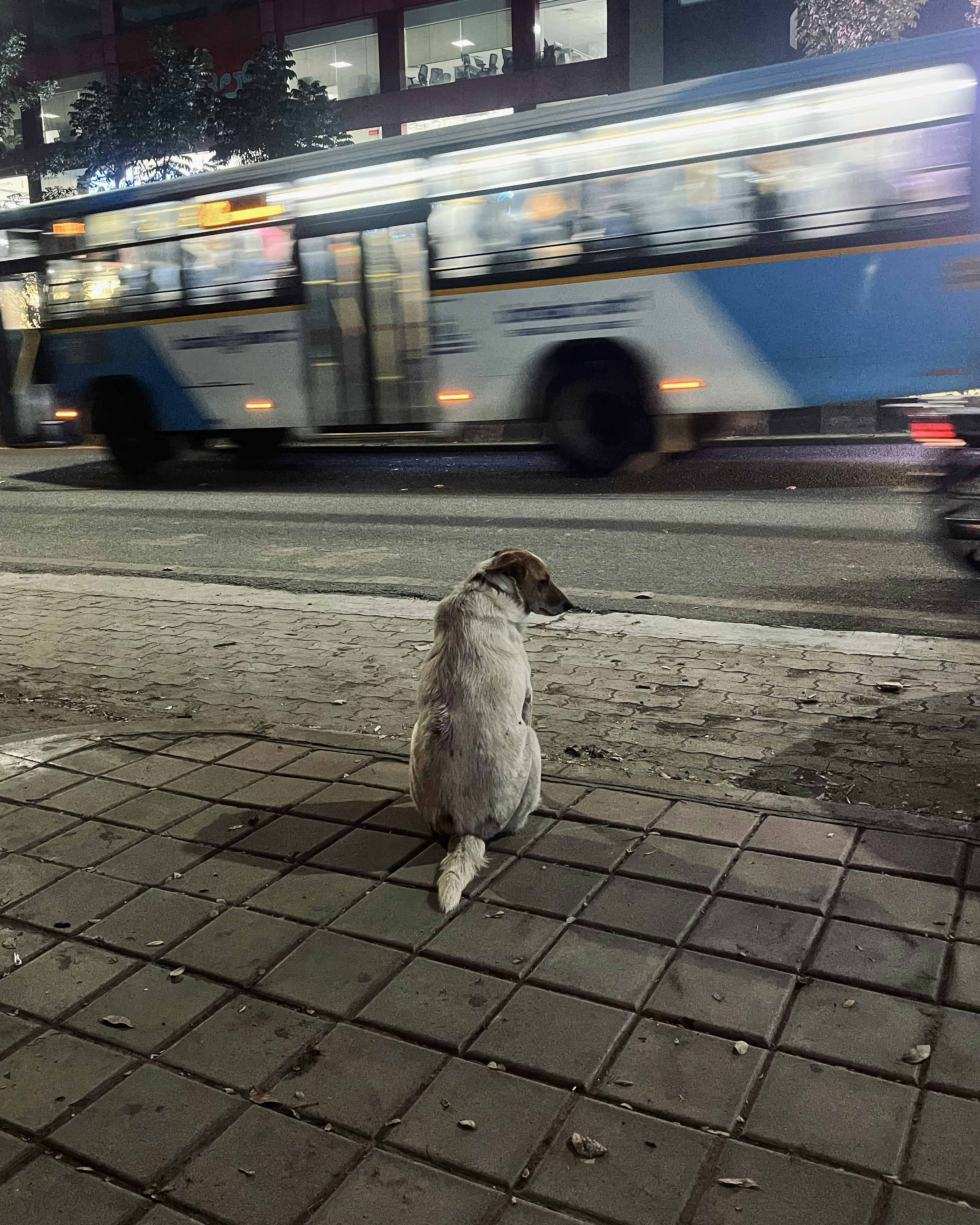 Photo by Vishwasa Navada K