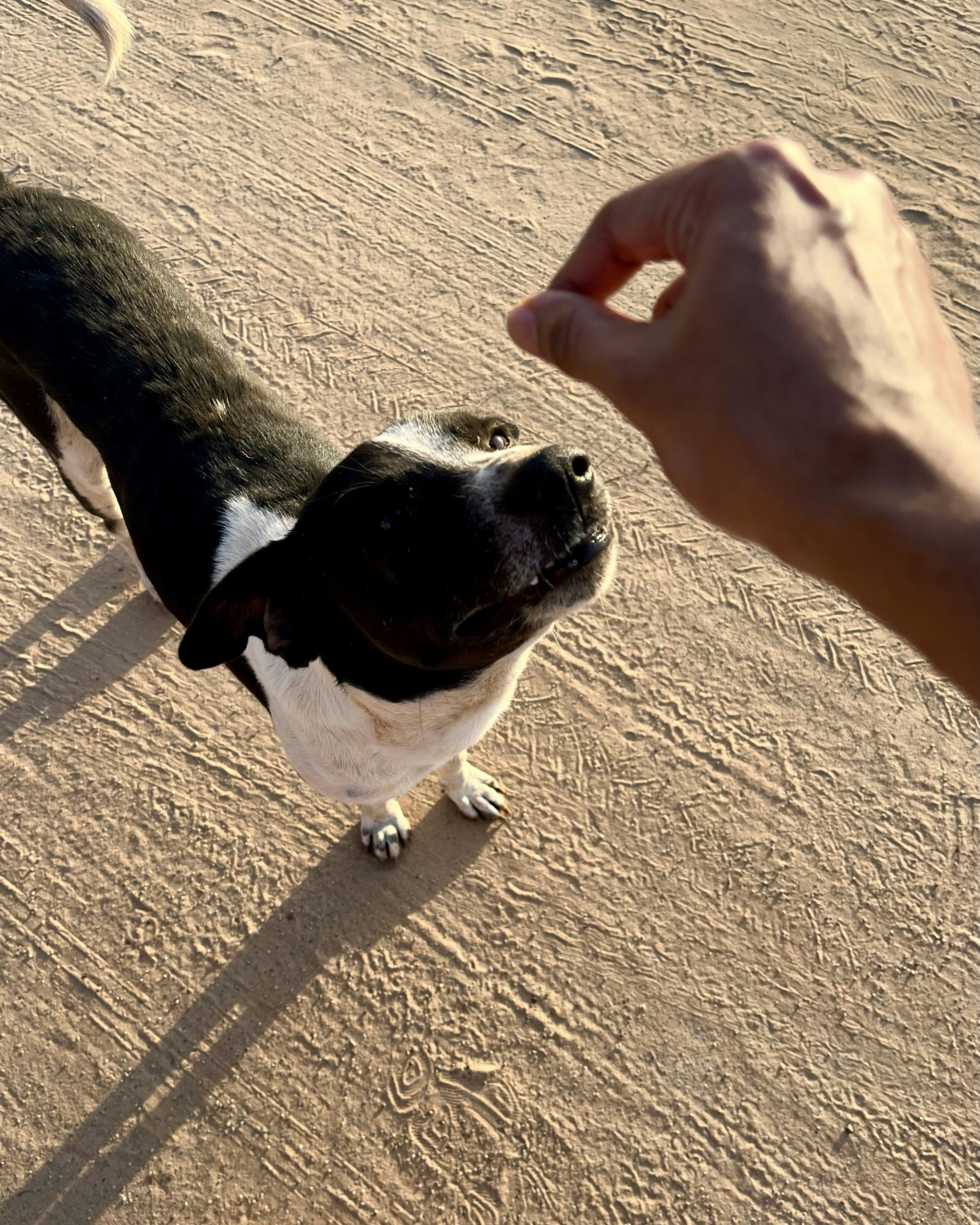 Photo by Vishwasa Navada K