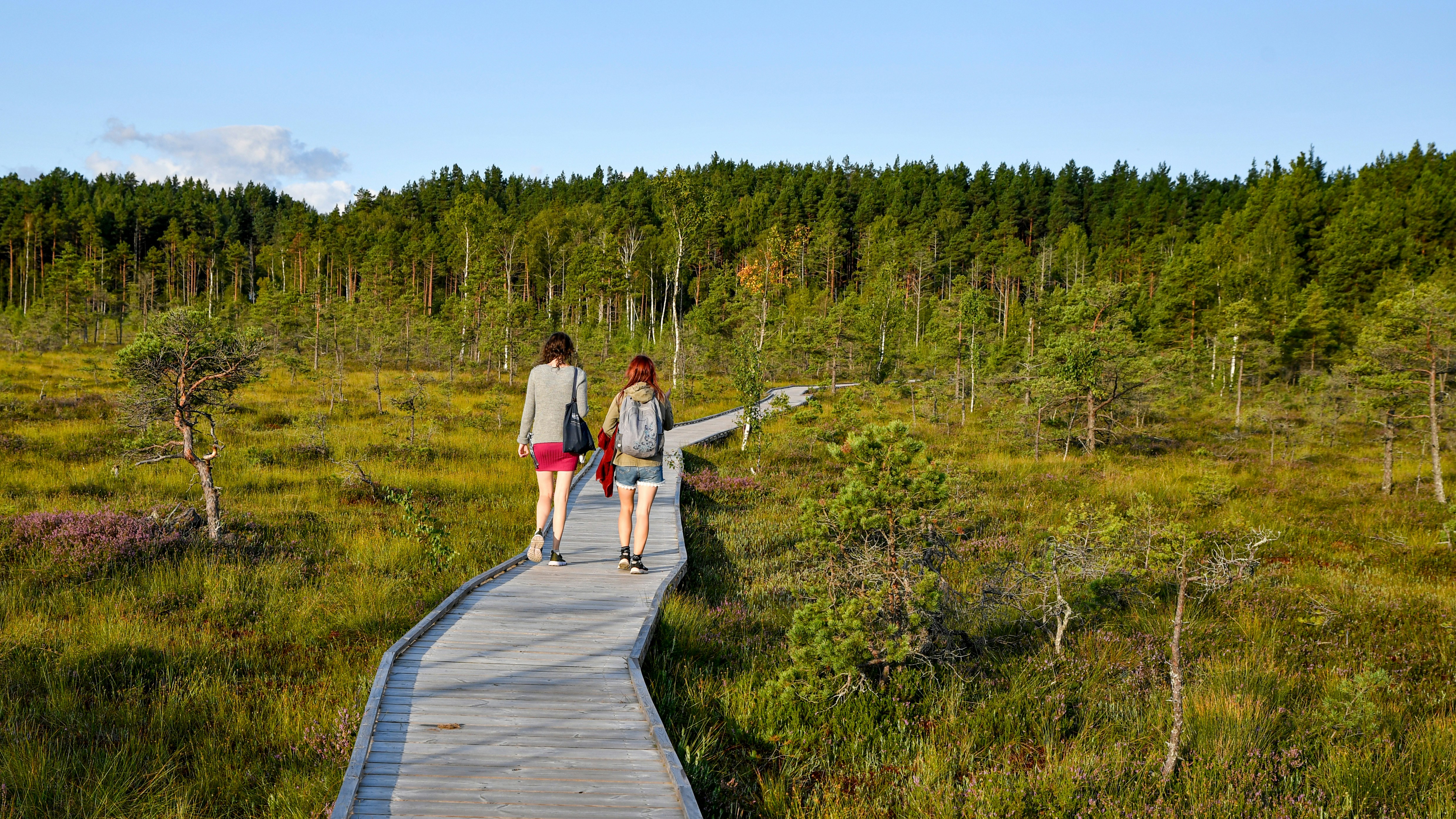 400 lakes of the Koziany bogs