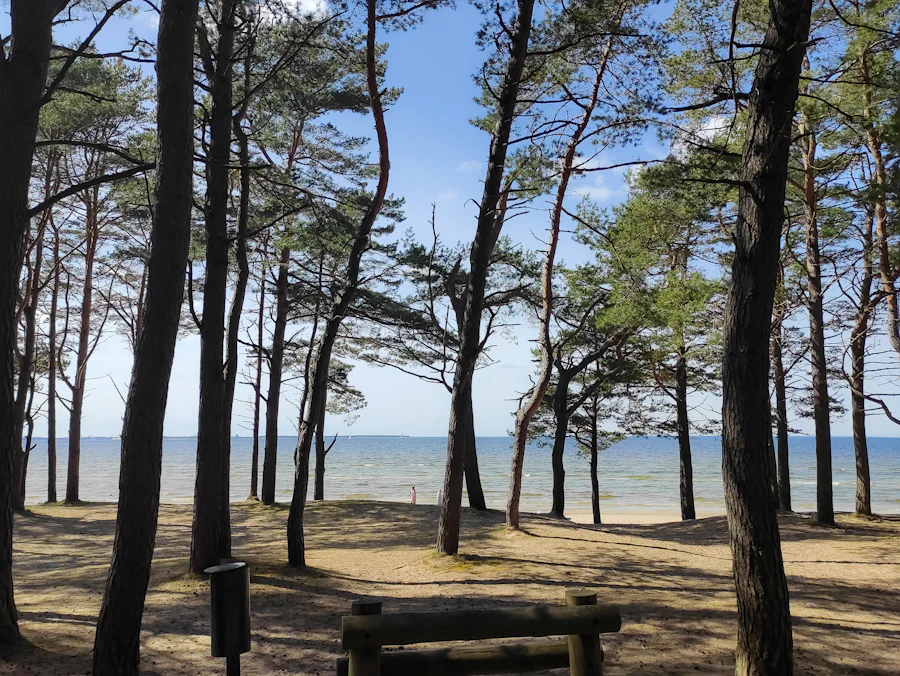 Pirita