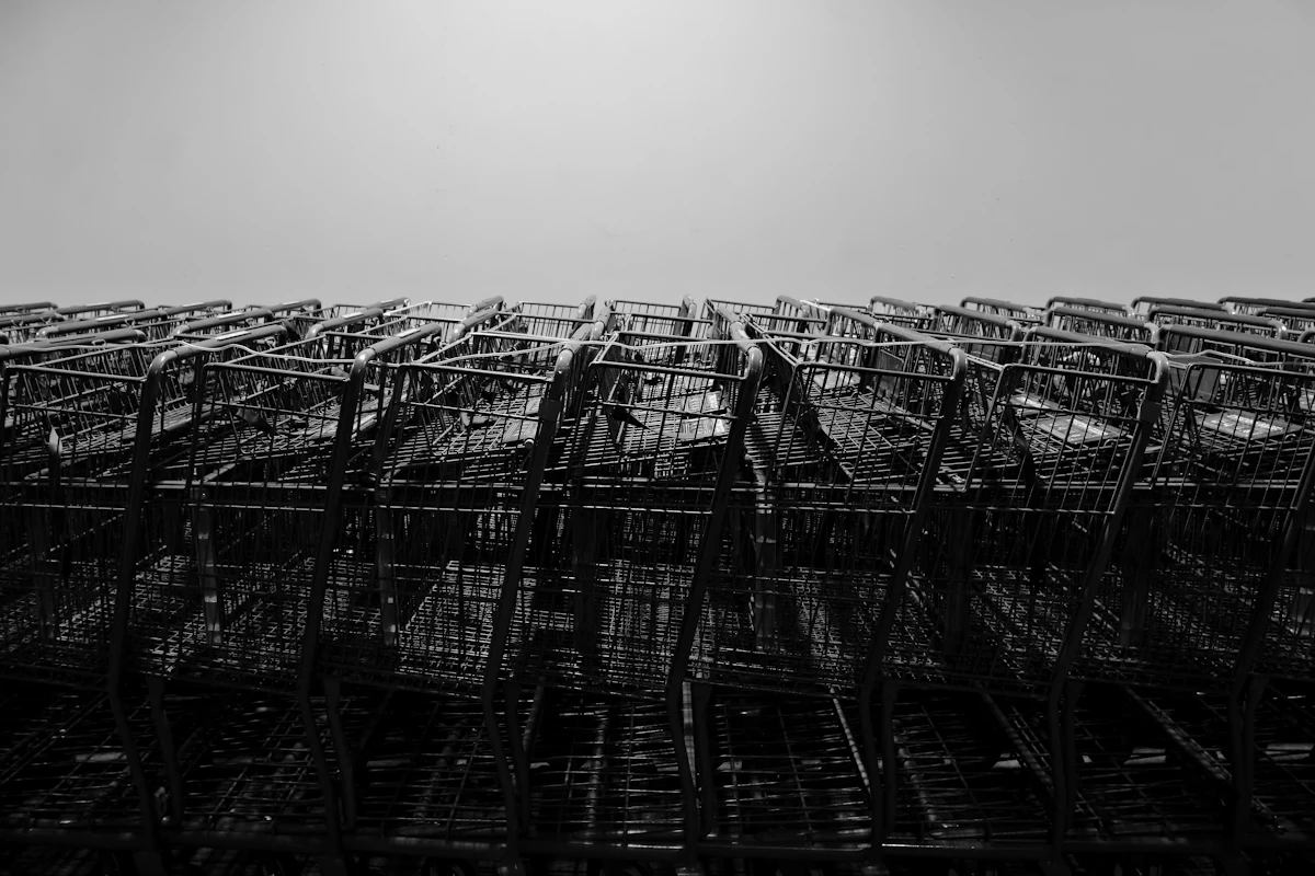 Black and white photo of rows of nested empty shopping carts against a pale sky