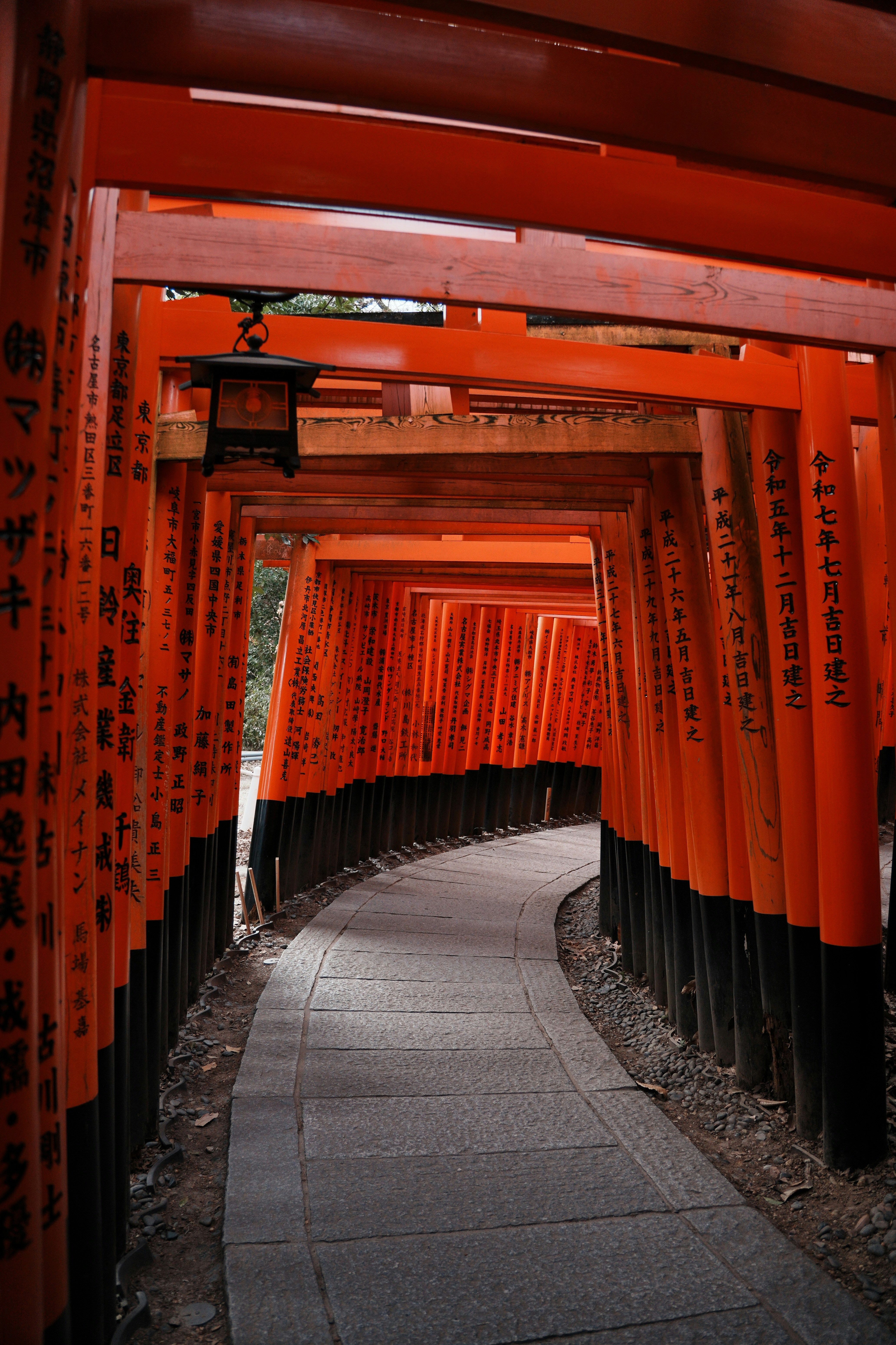 Photo by kent424