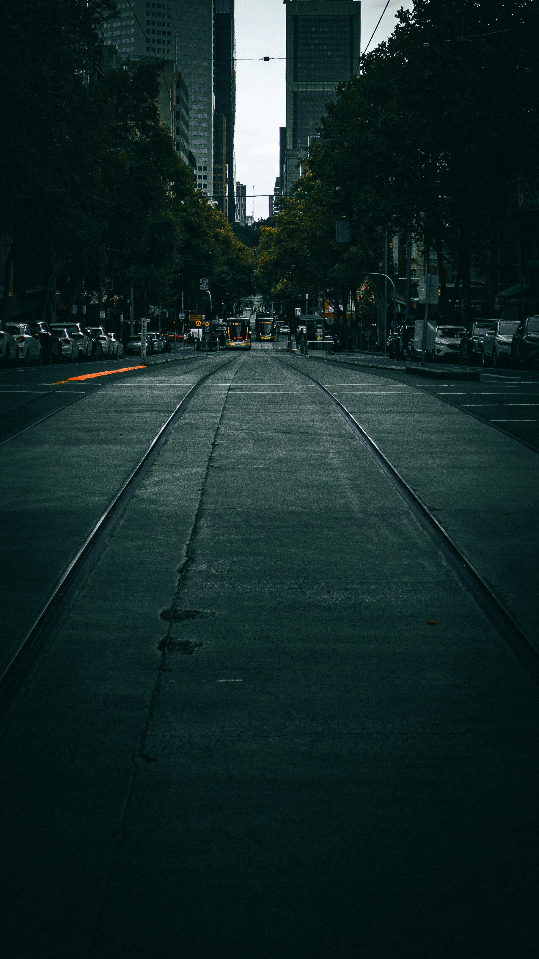 Photo by hfeller