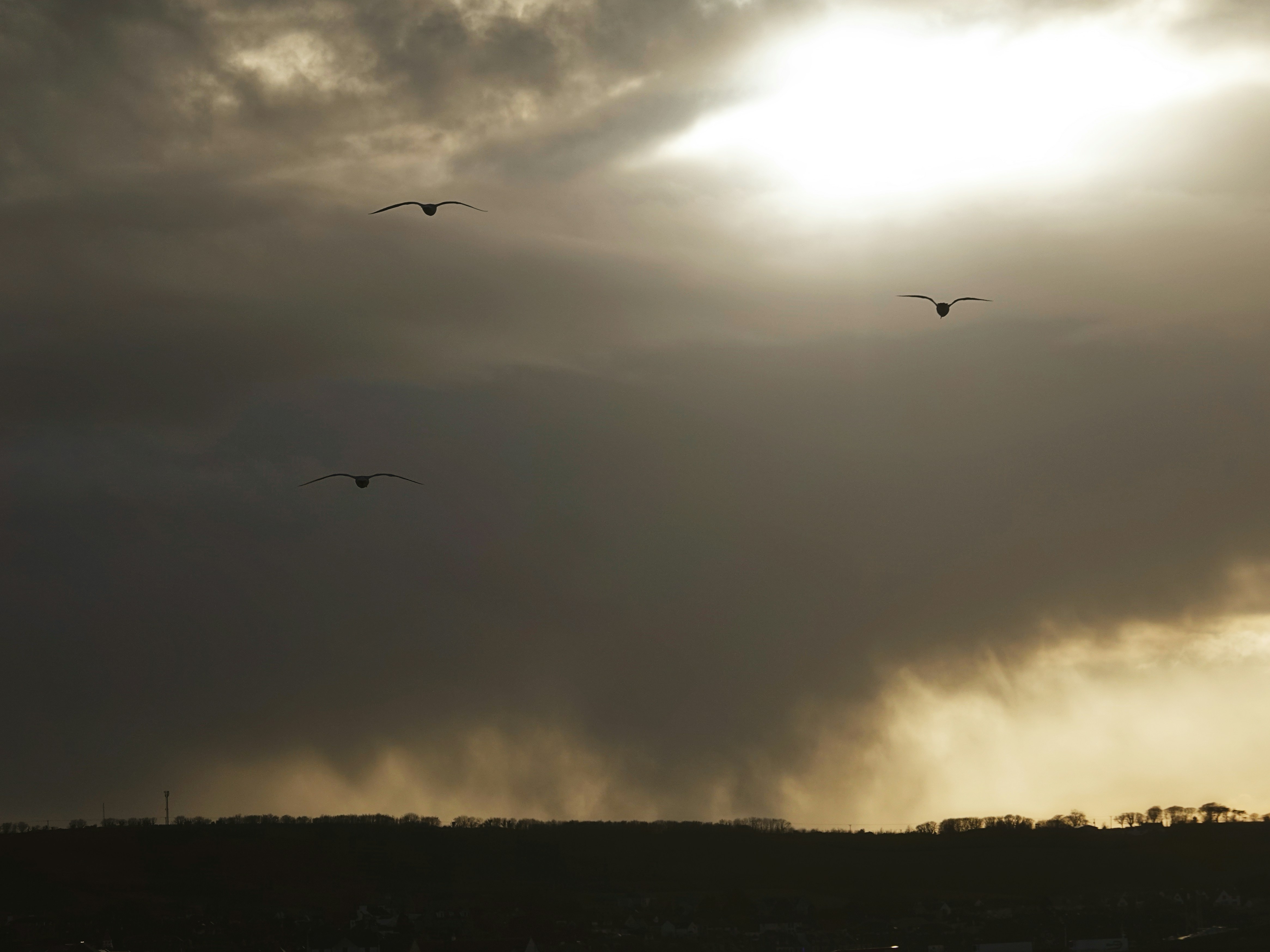 weather impact shooting