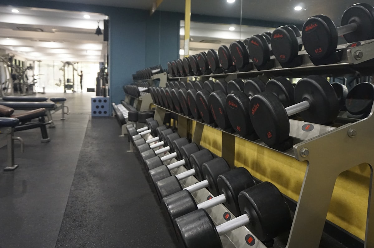 체육관 선반에 가지런히 정돈된 덤벨들