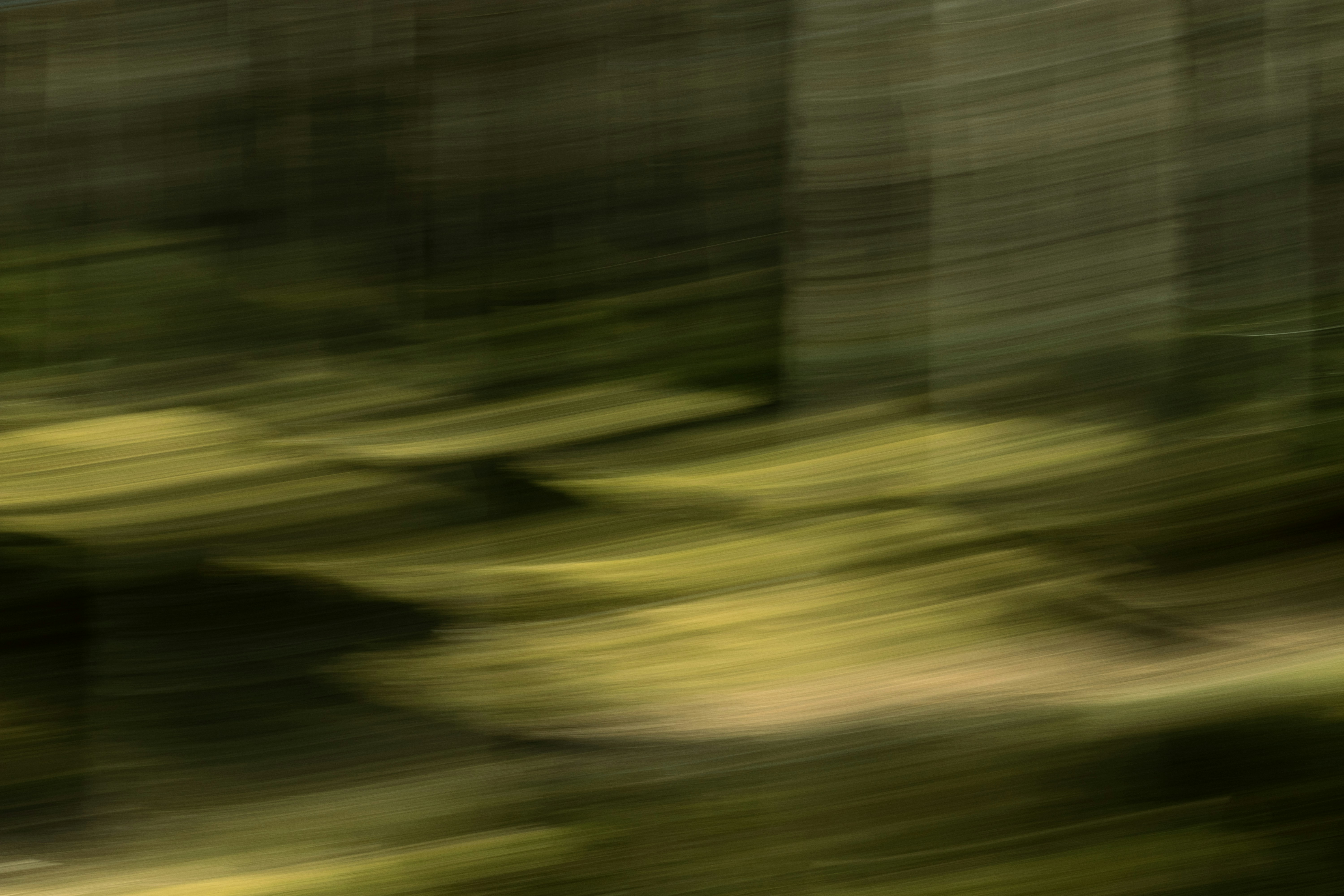 Photo by reinisbruzitis