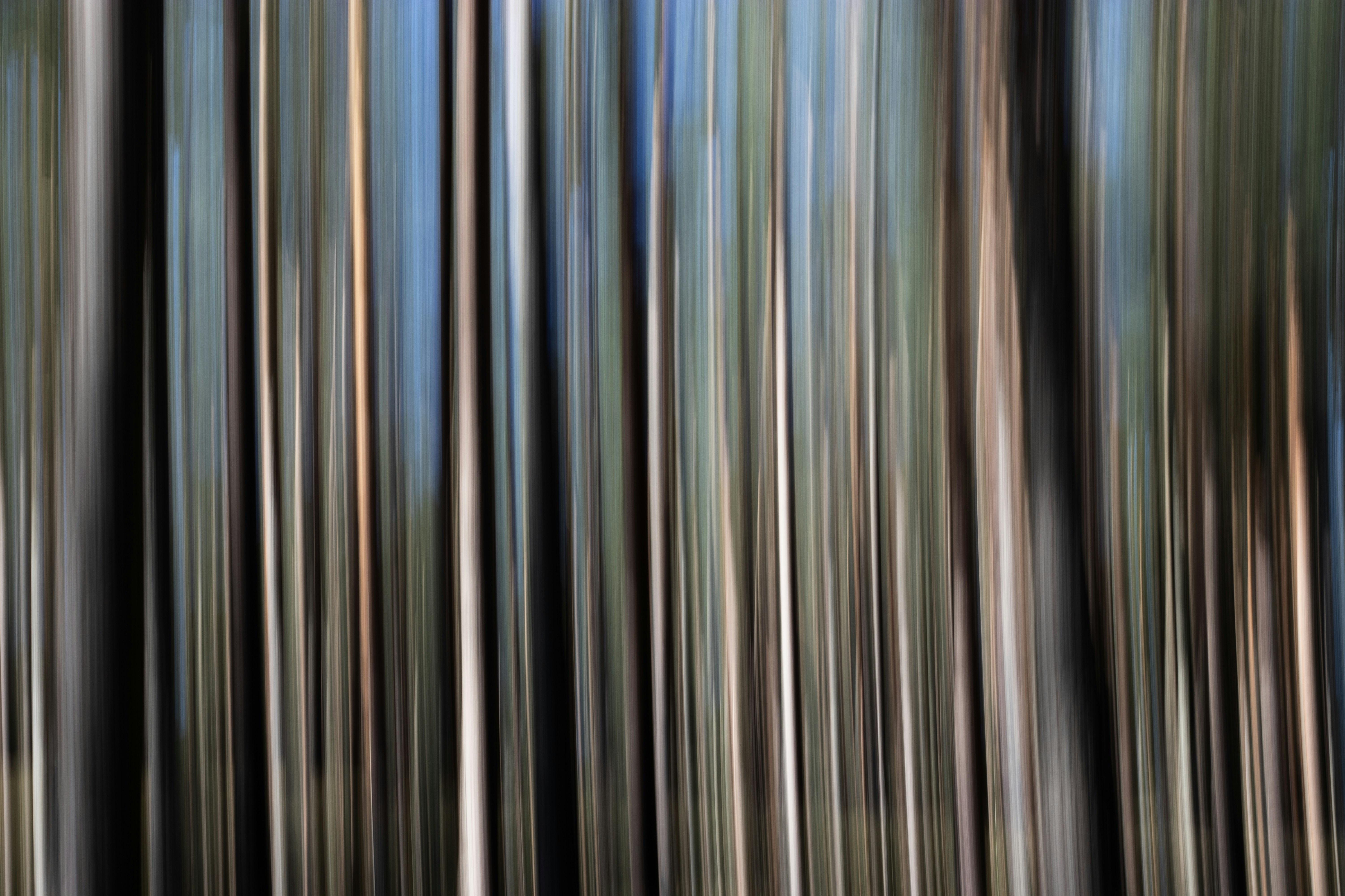 Photo by reinisbruzitis