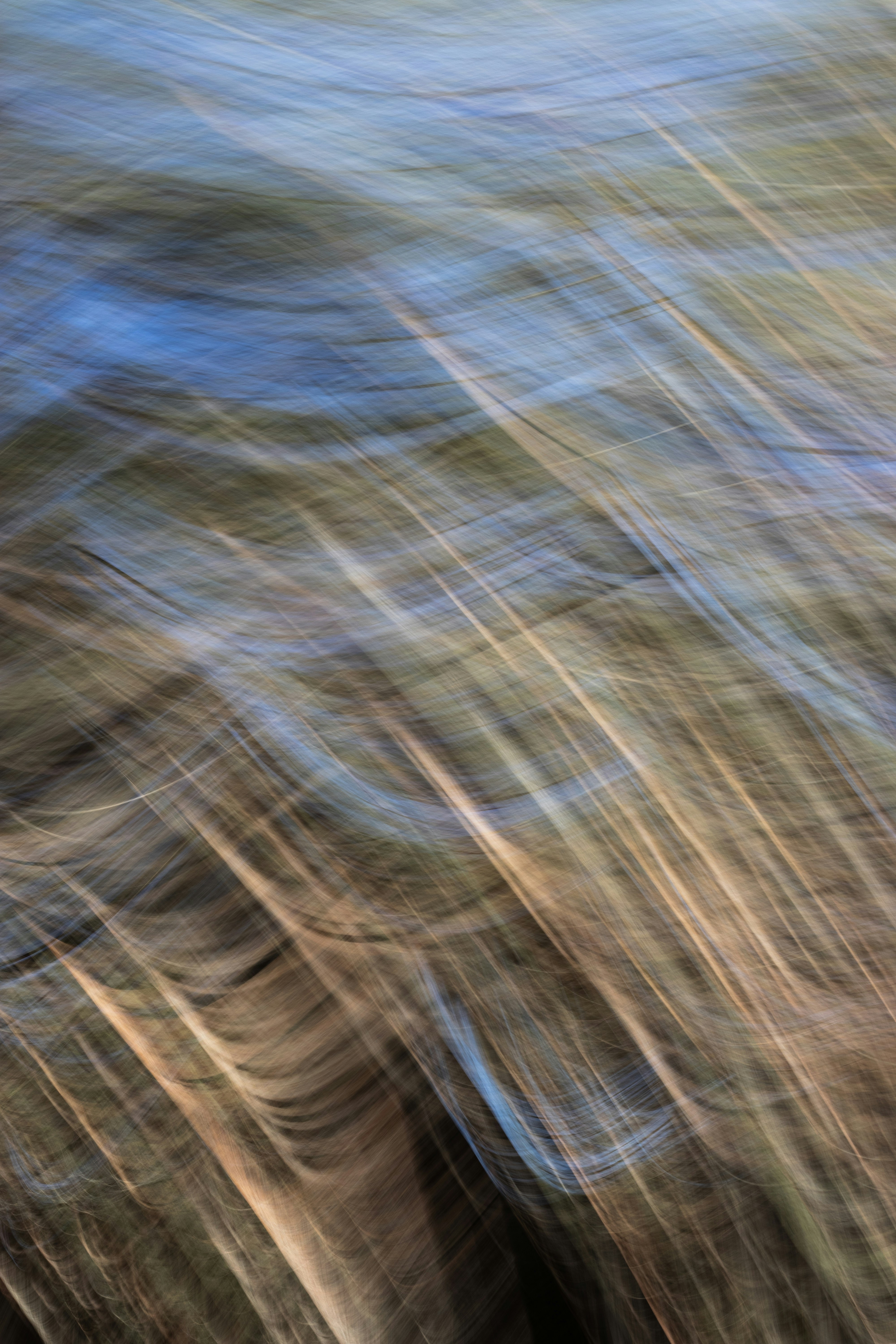Photo by reinisbruzitis