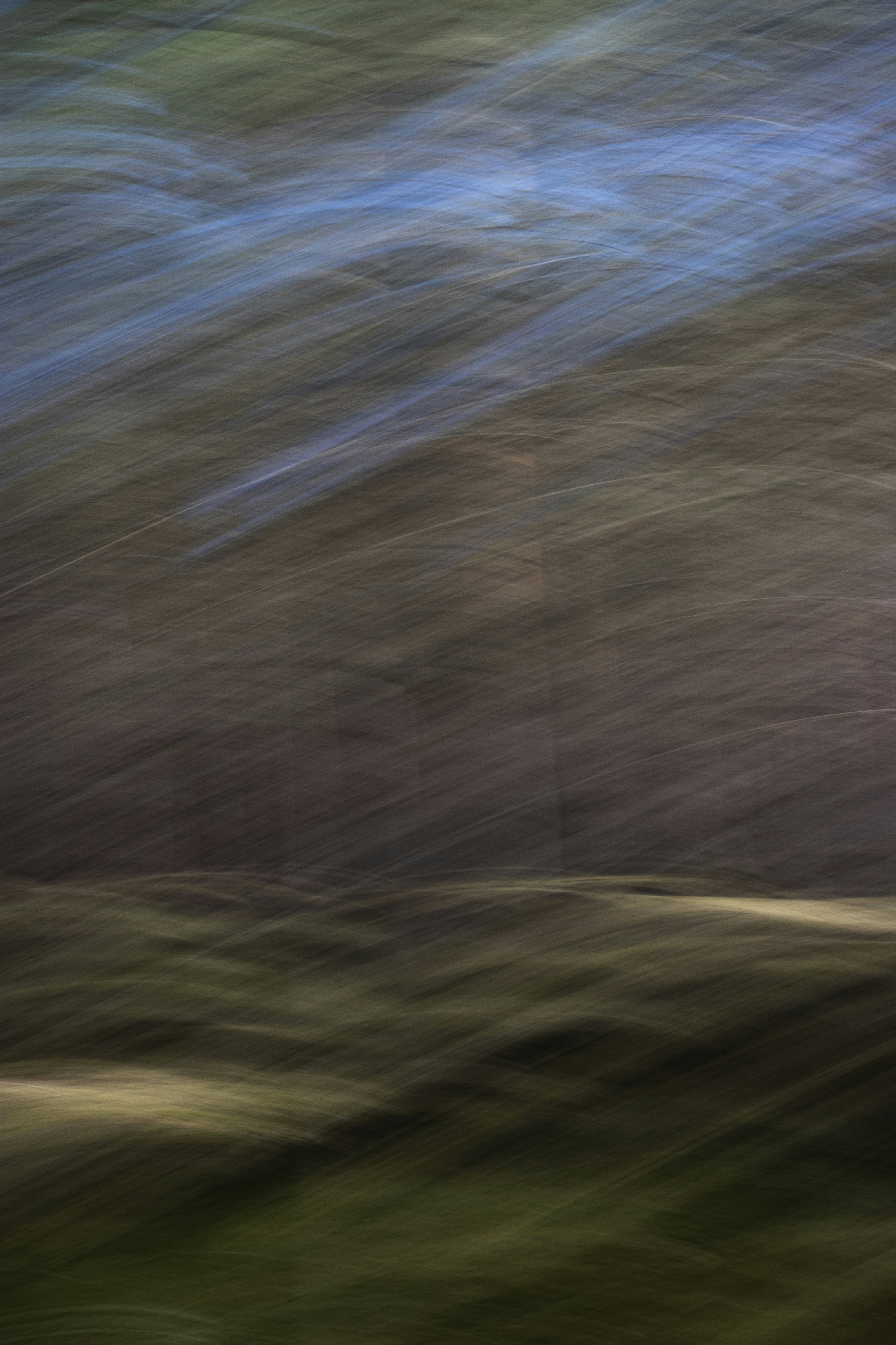 Photo by reinisbruzitis