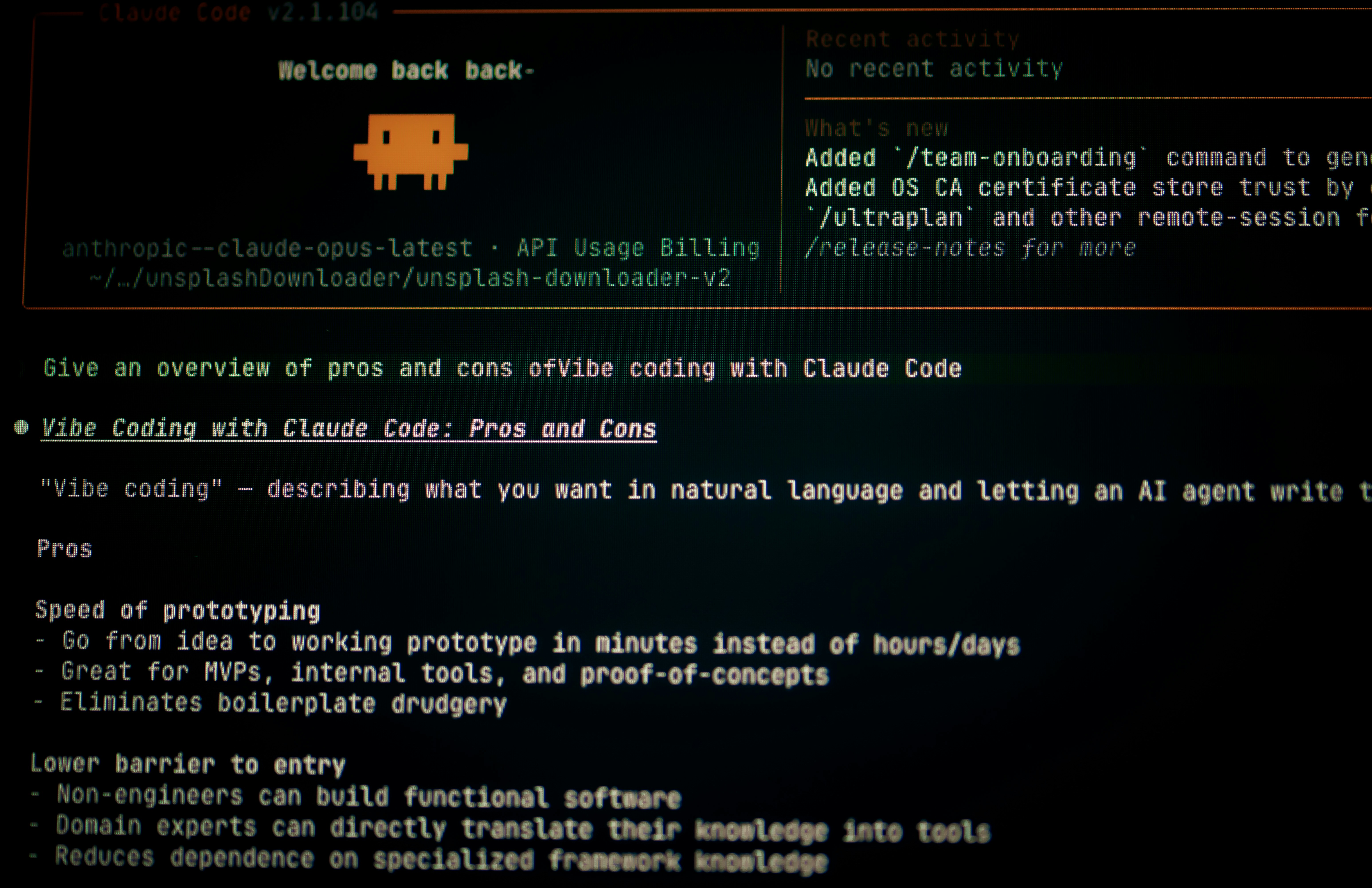 Computer screen displaying code and text