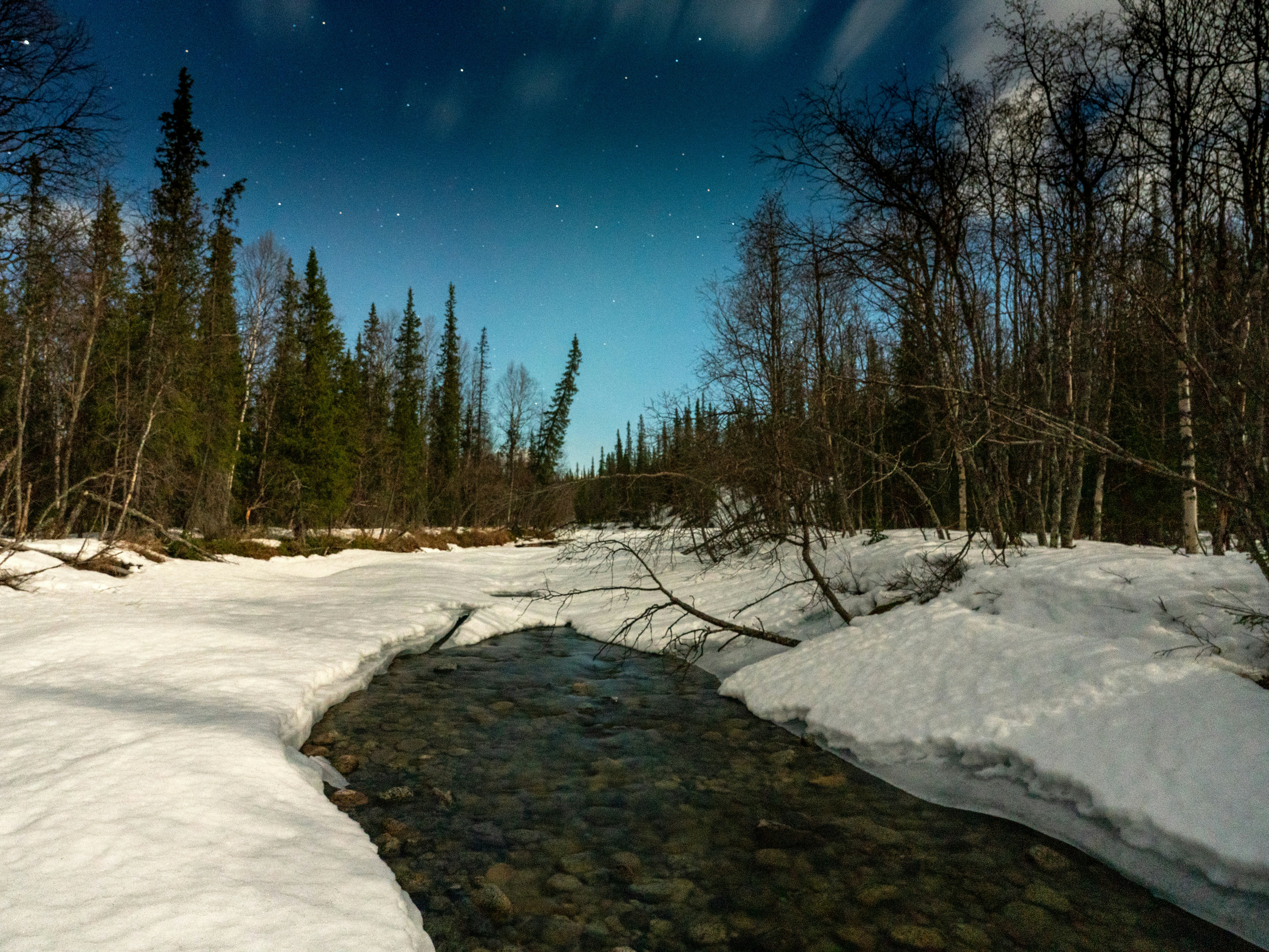 Snowy forest landscape with a stream under starry sky