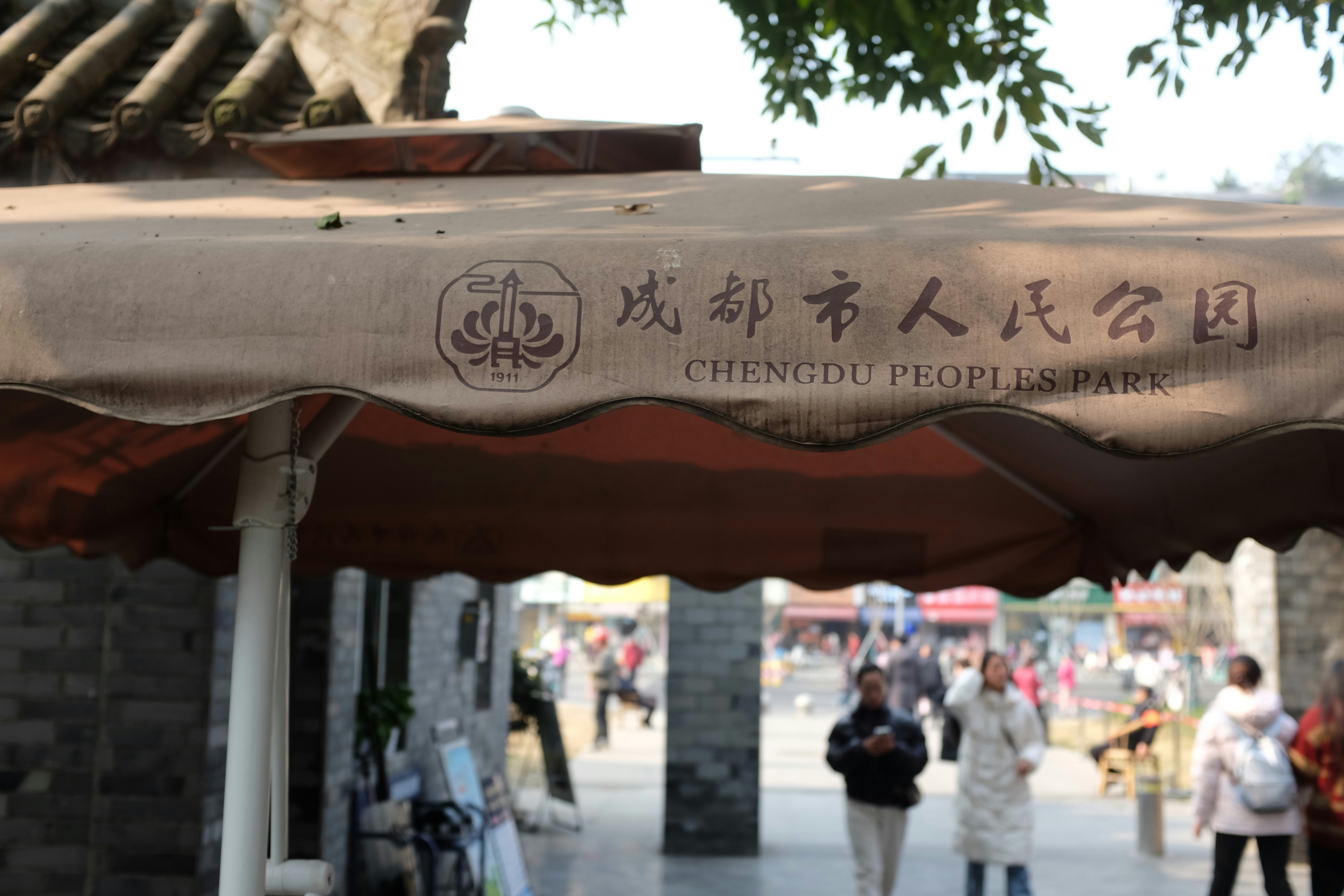 15 Authentic Sichuan Dishes and Chengdu Food Guide 2026