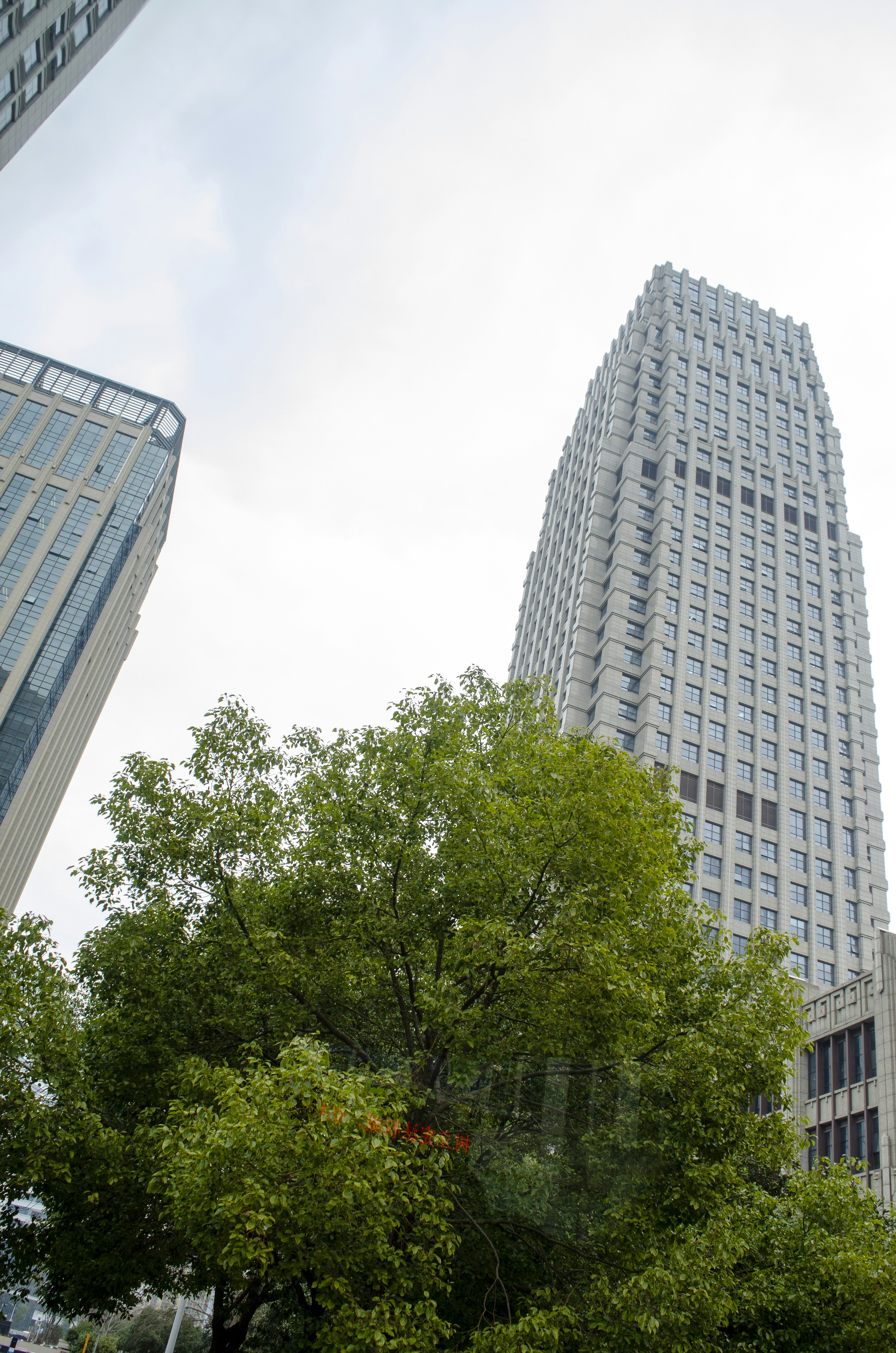 Des gratte-ciel modernes avec des arbres verdoyants au premier plan.