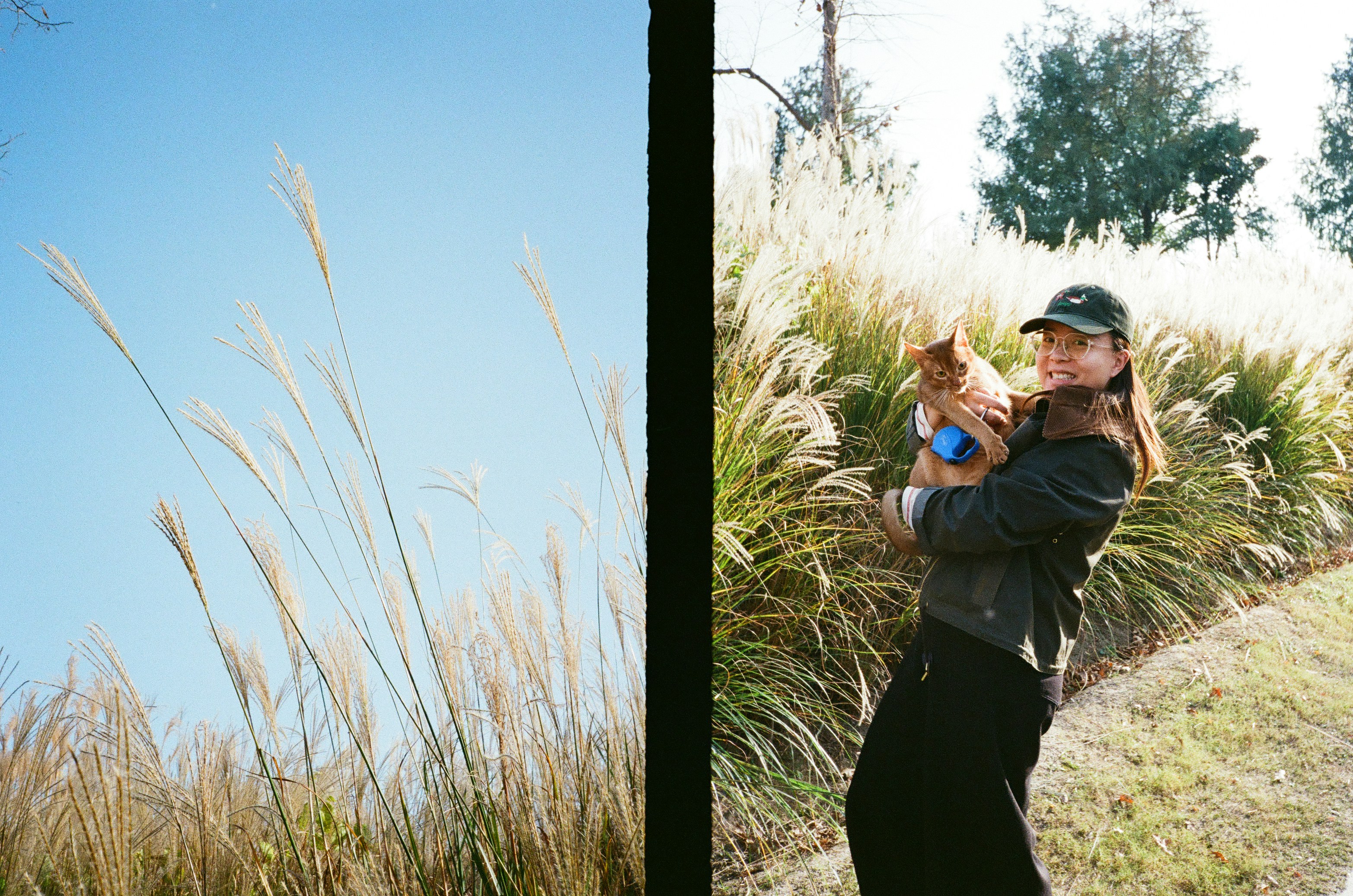 Improve Success with Professional Wyoming Service Compliance Services