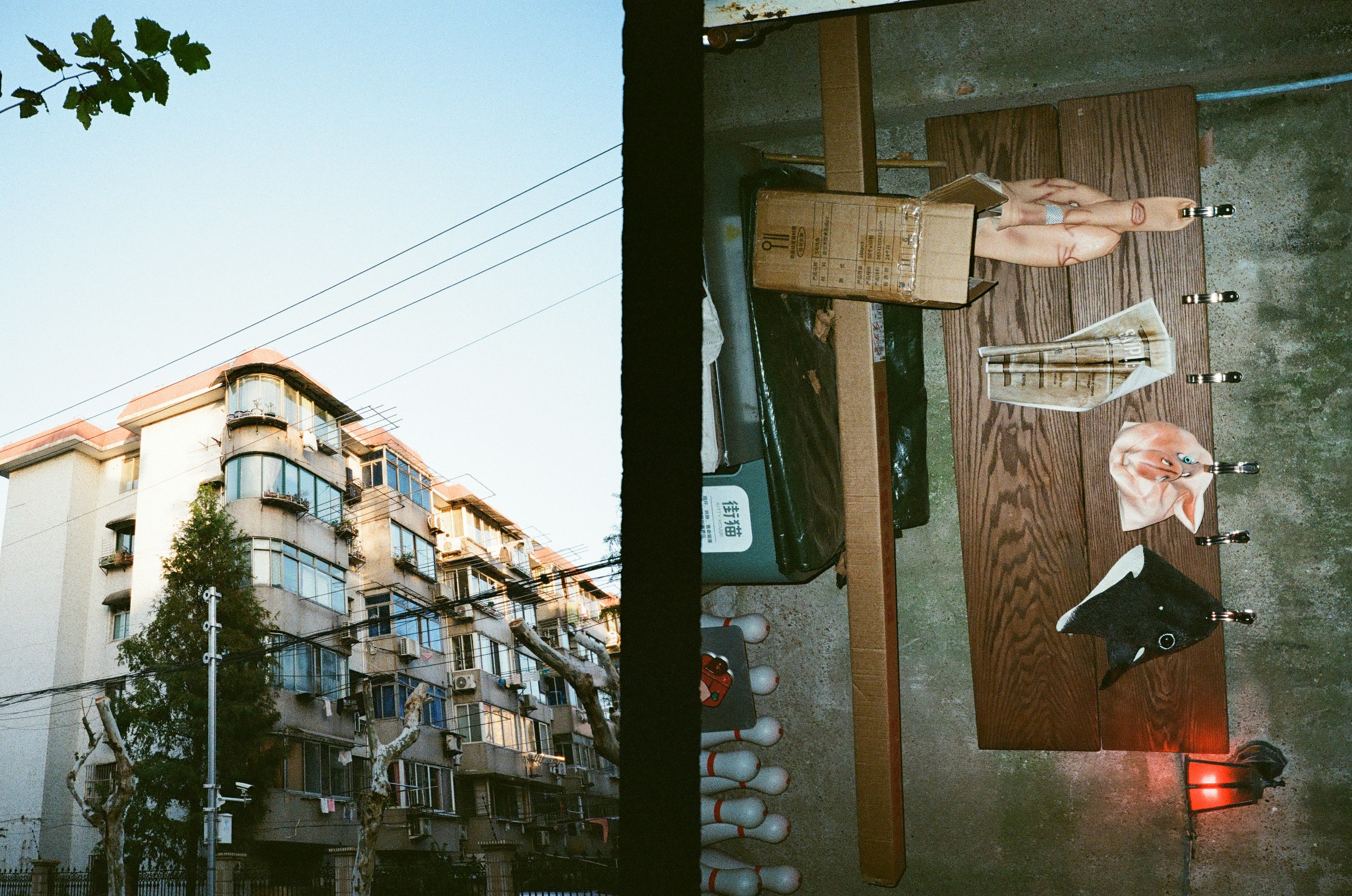 Photo by haoli