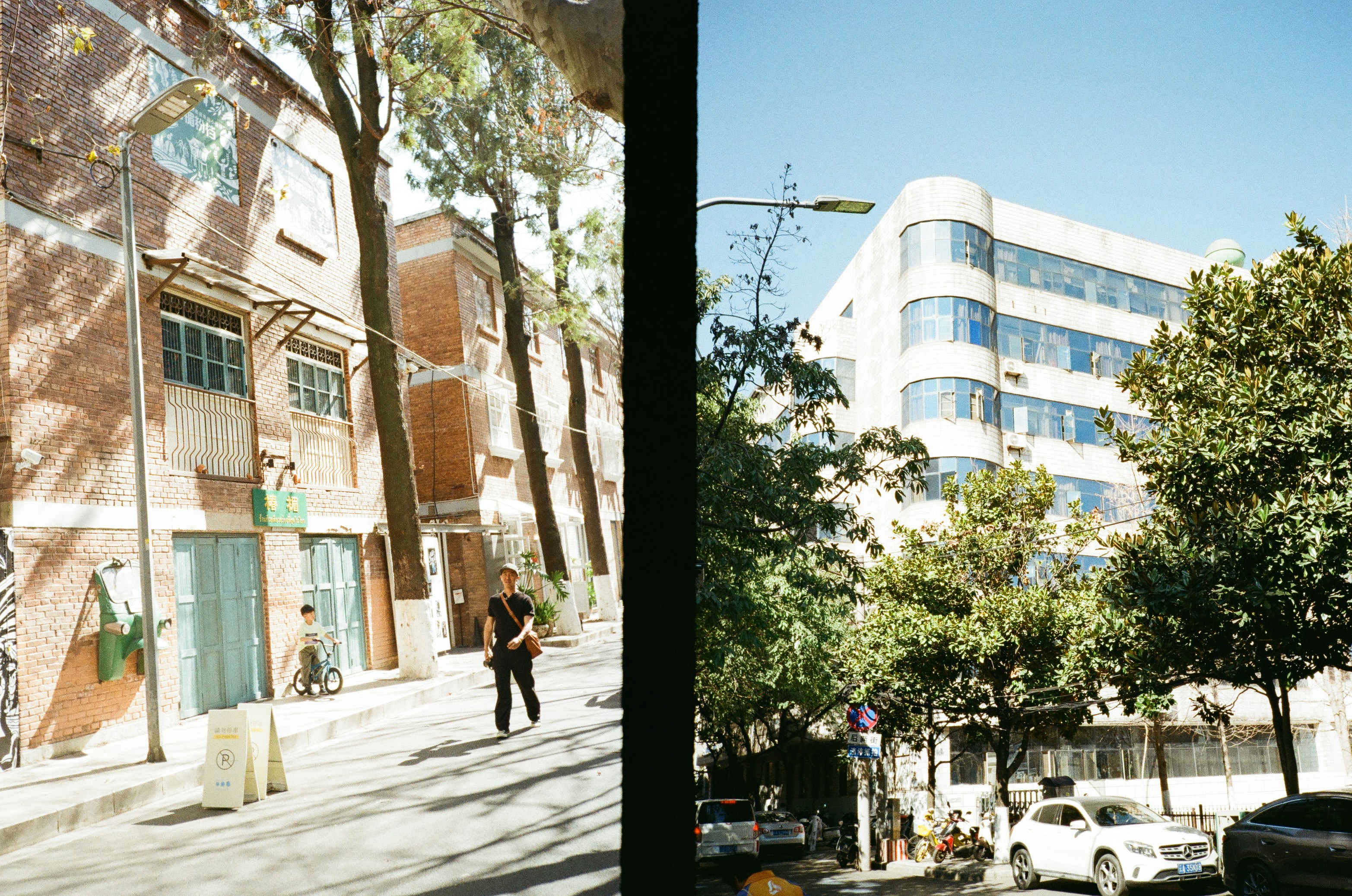 Cena de rua com prédios, árvores e carros