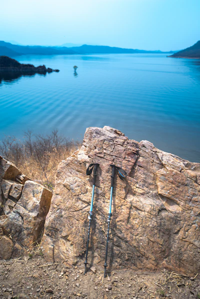 Trekking poles