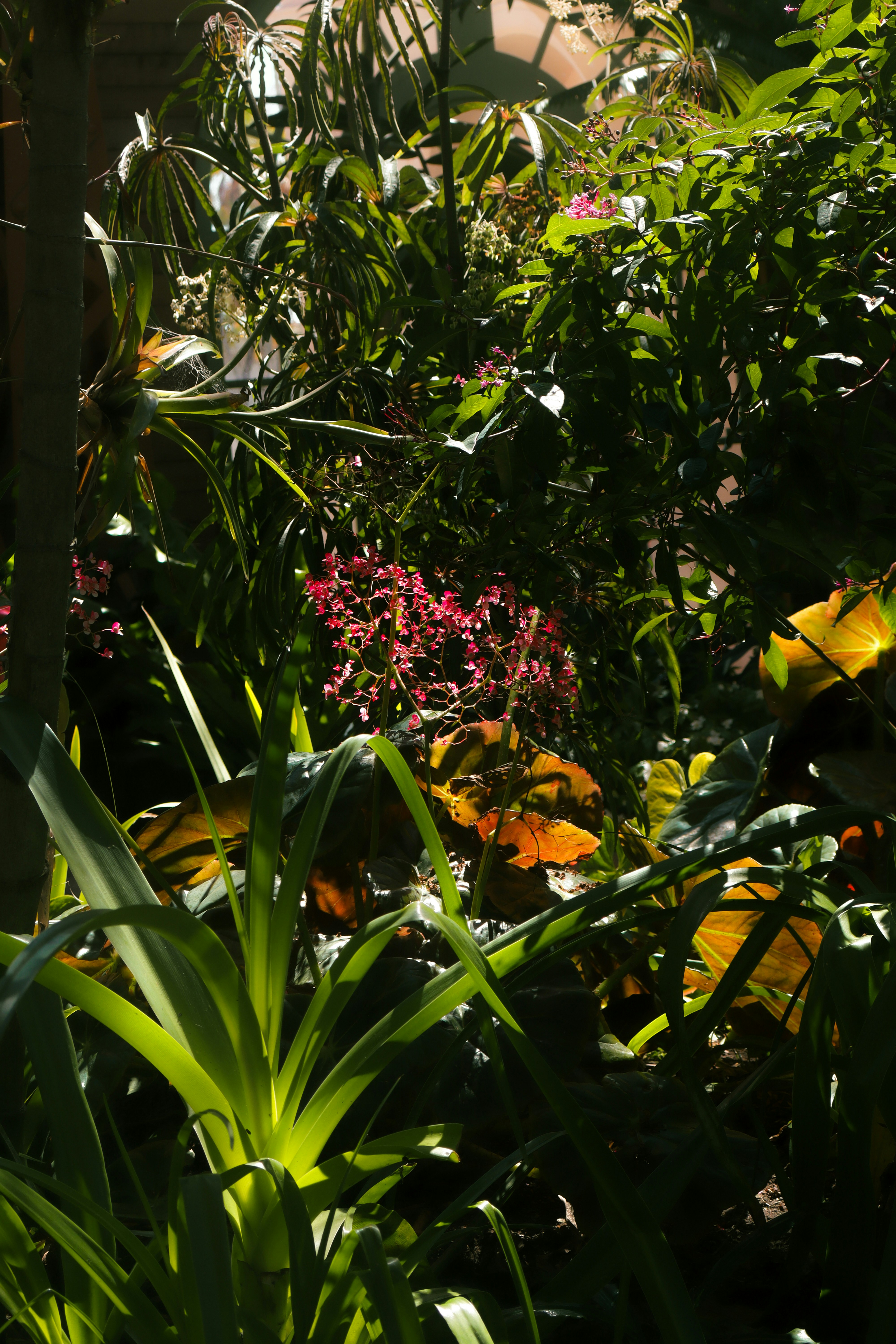 Feuillage vert luxuriant avec des fleurs roses au soleil