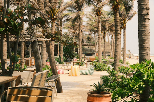 Palm courtyard with loungers and still water