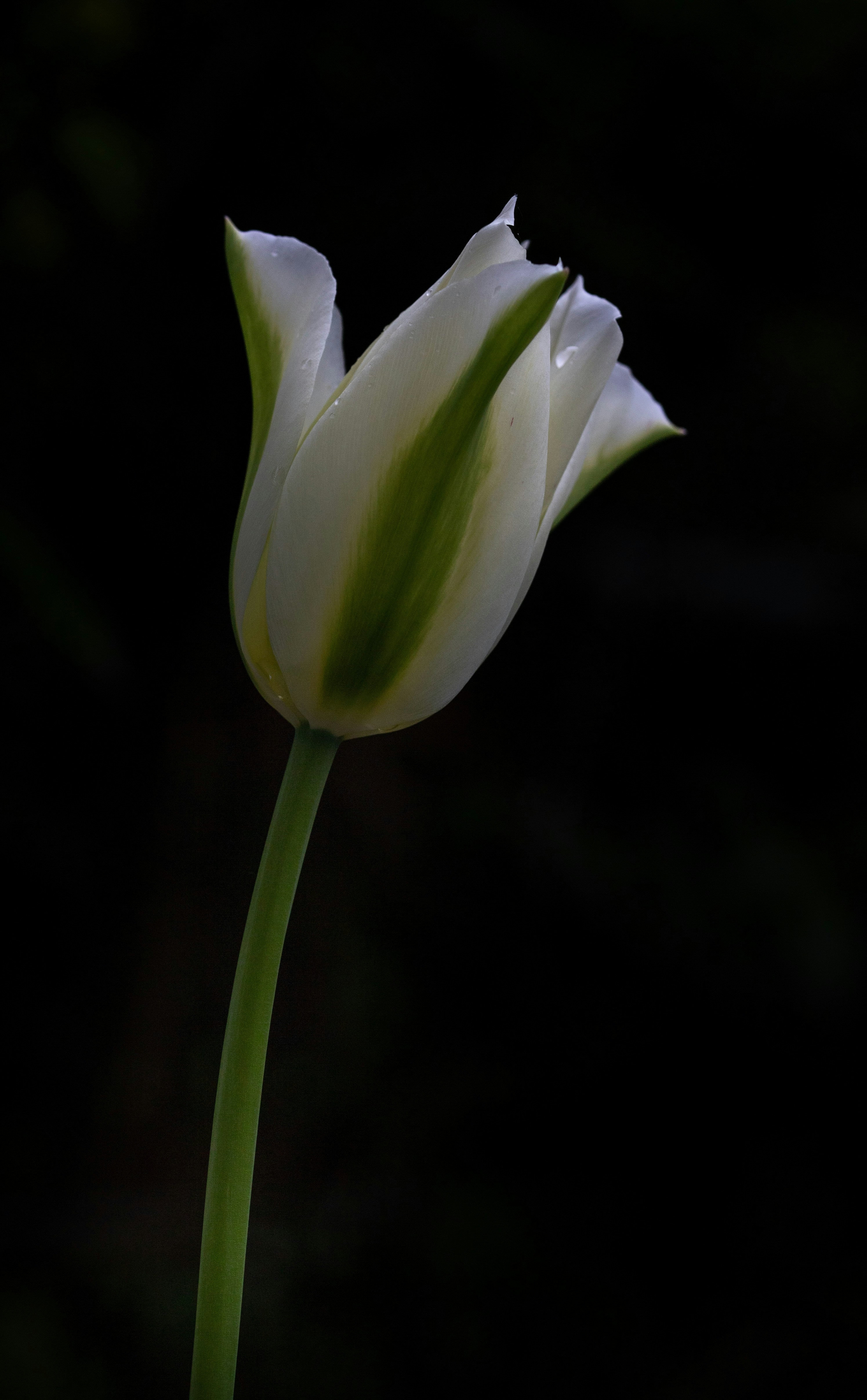 Photo by hdbernd