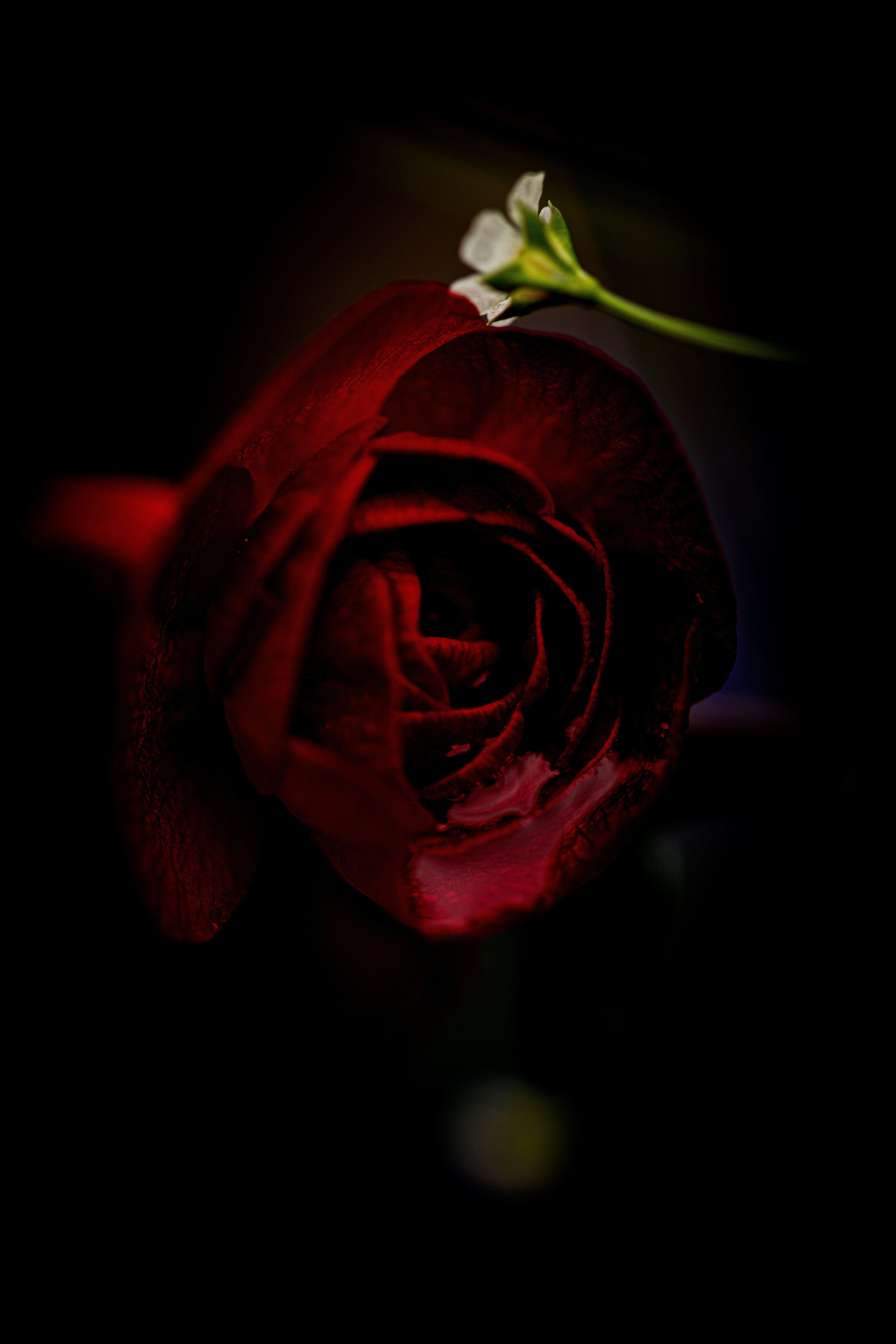 Photo by hdbernd